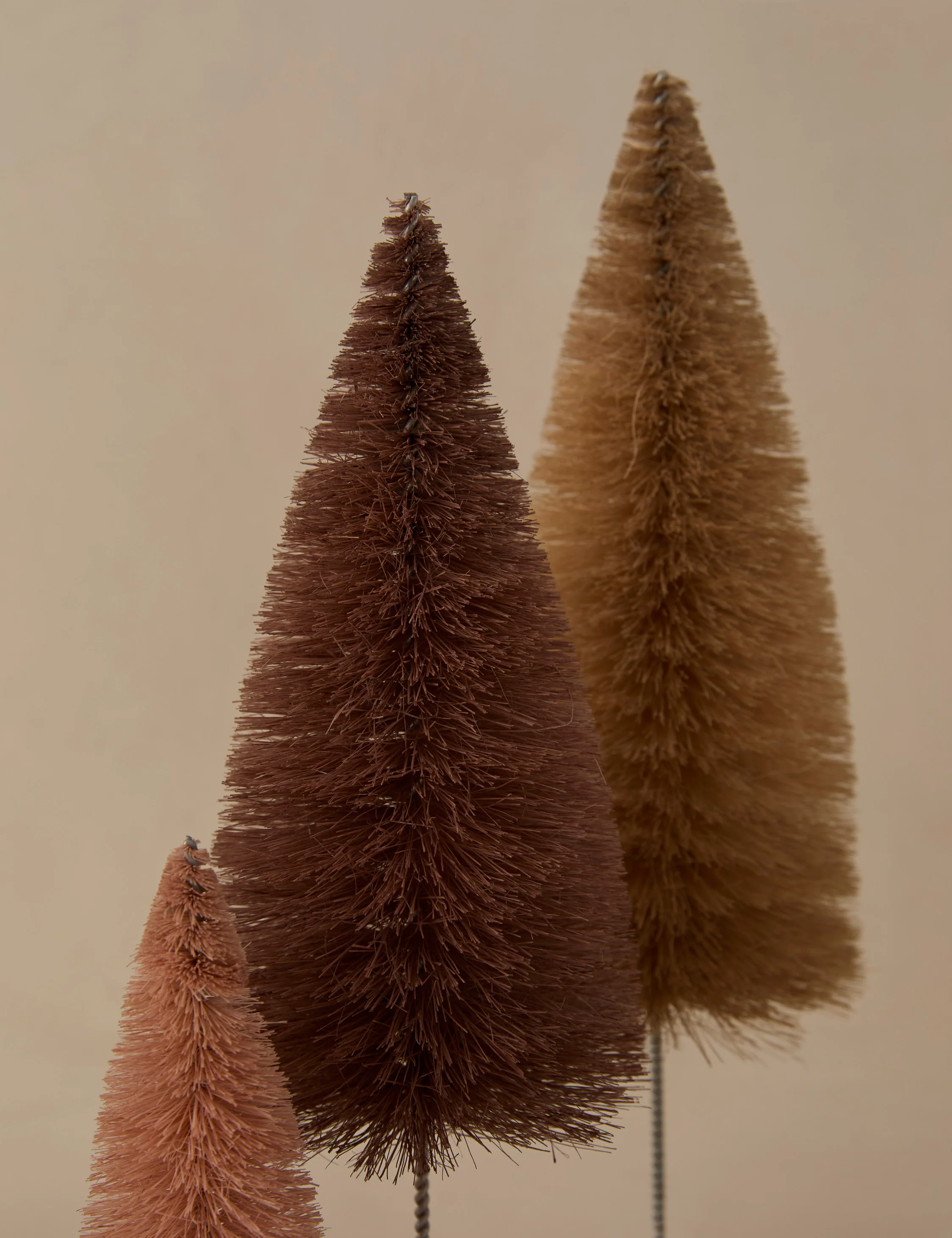 Rainbow Trees (Set of 6) by Cody Foster and Co