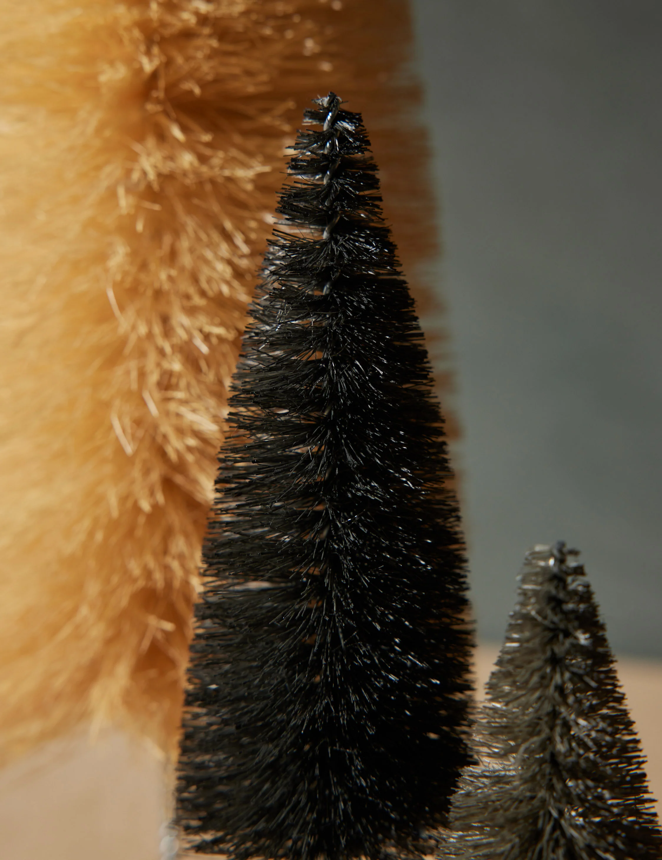 Rainbow Trees (Set of 6) by Cody Foster and Co