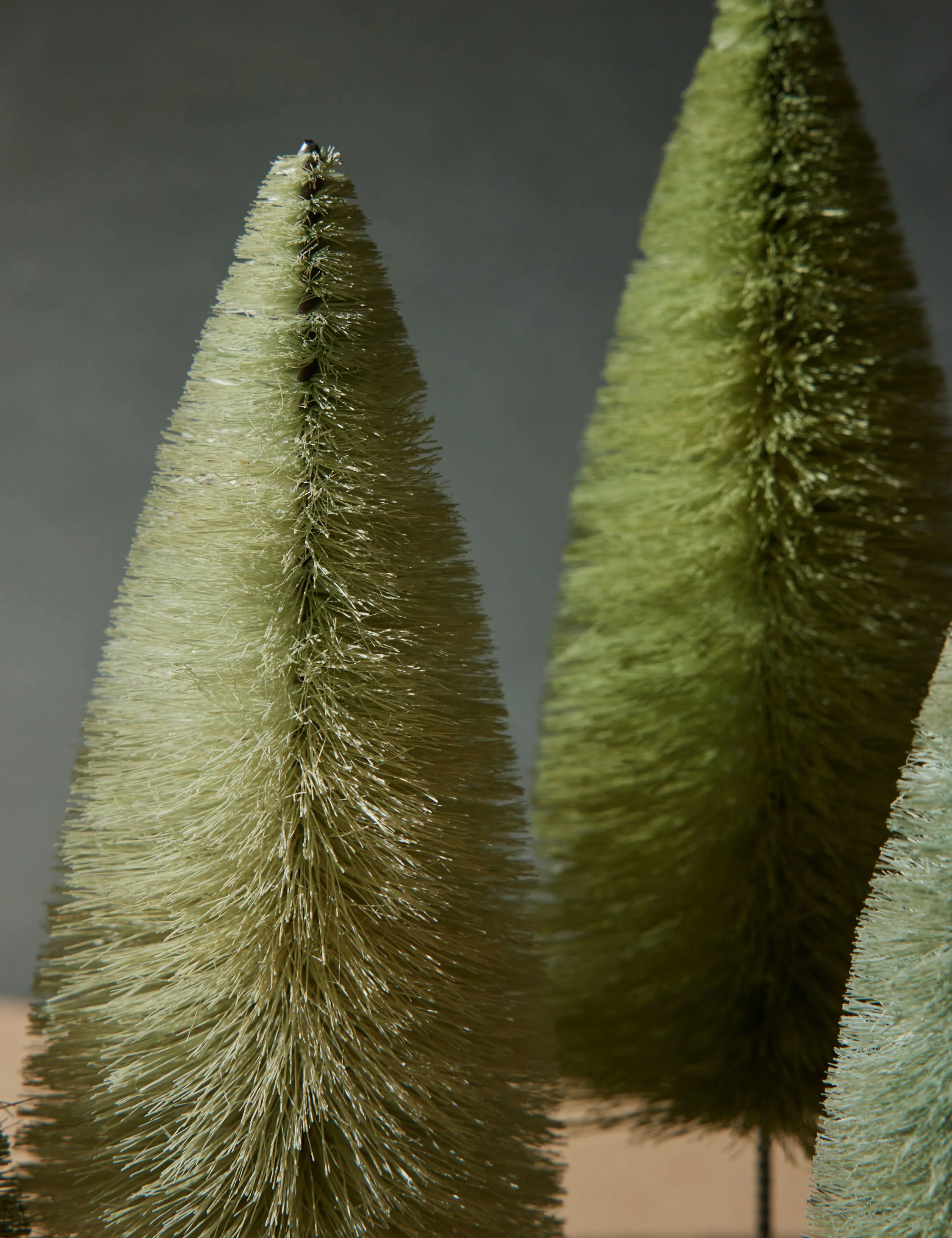 Rainbow Trees (Set of 6) by Cody Foster and Co