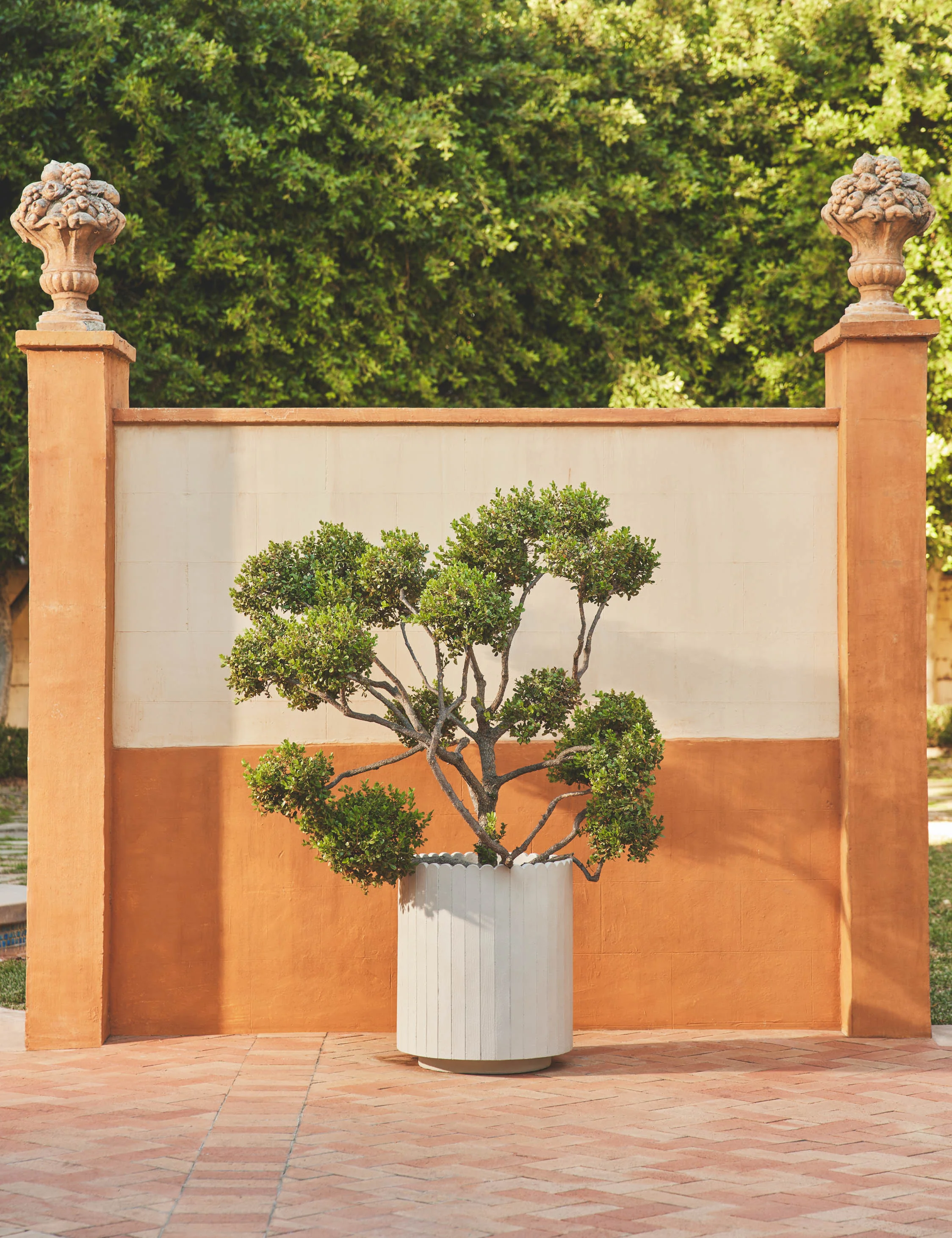 Mowry Indoor/Outdoor Planter