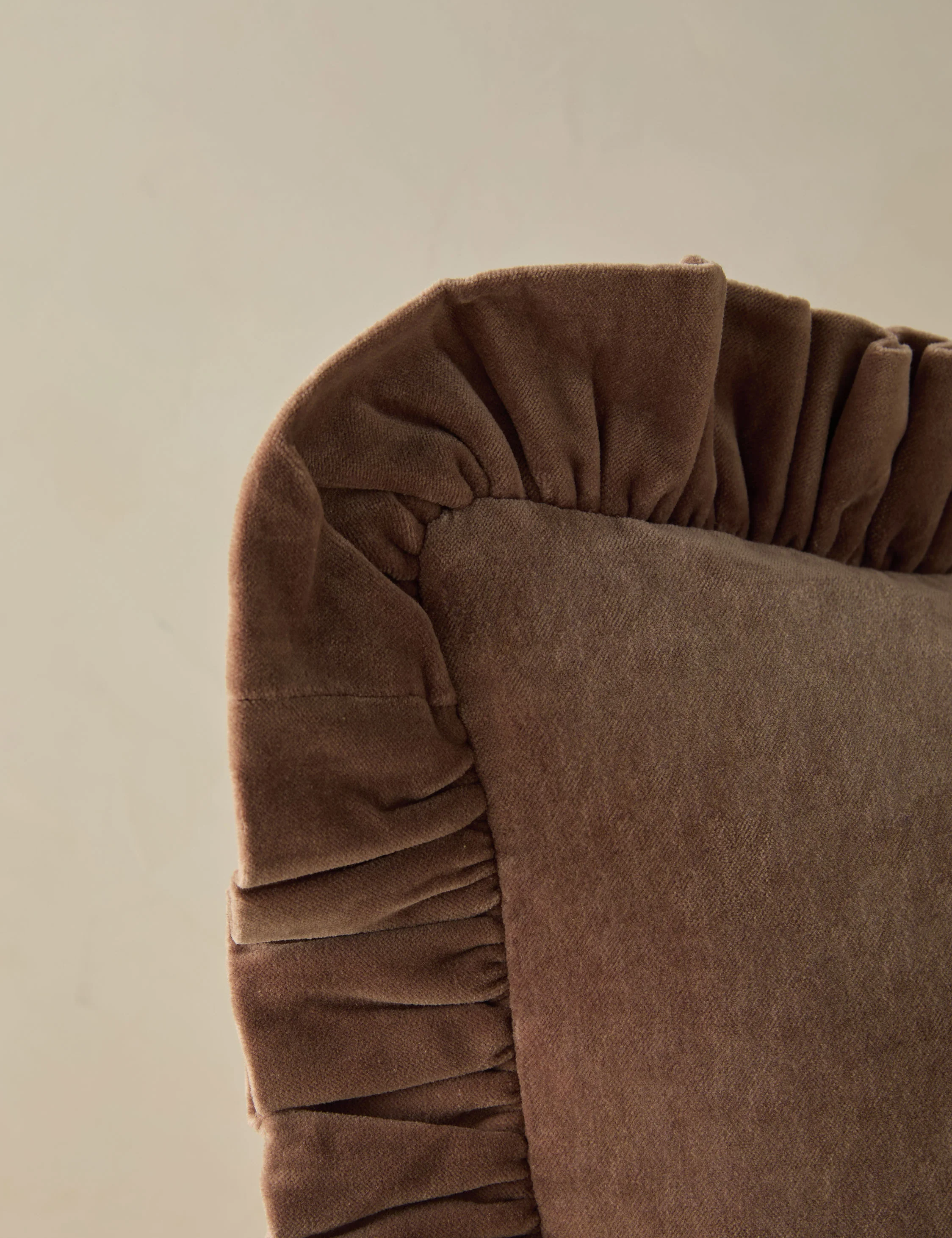 Mauree Velvet Pillow 15 Mauree Velvet Pillow