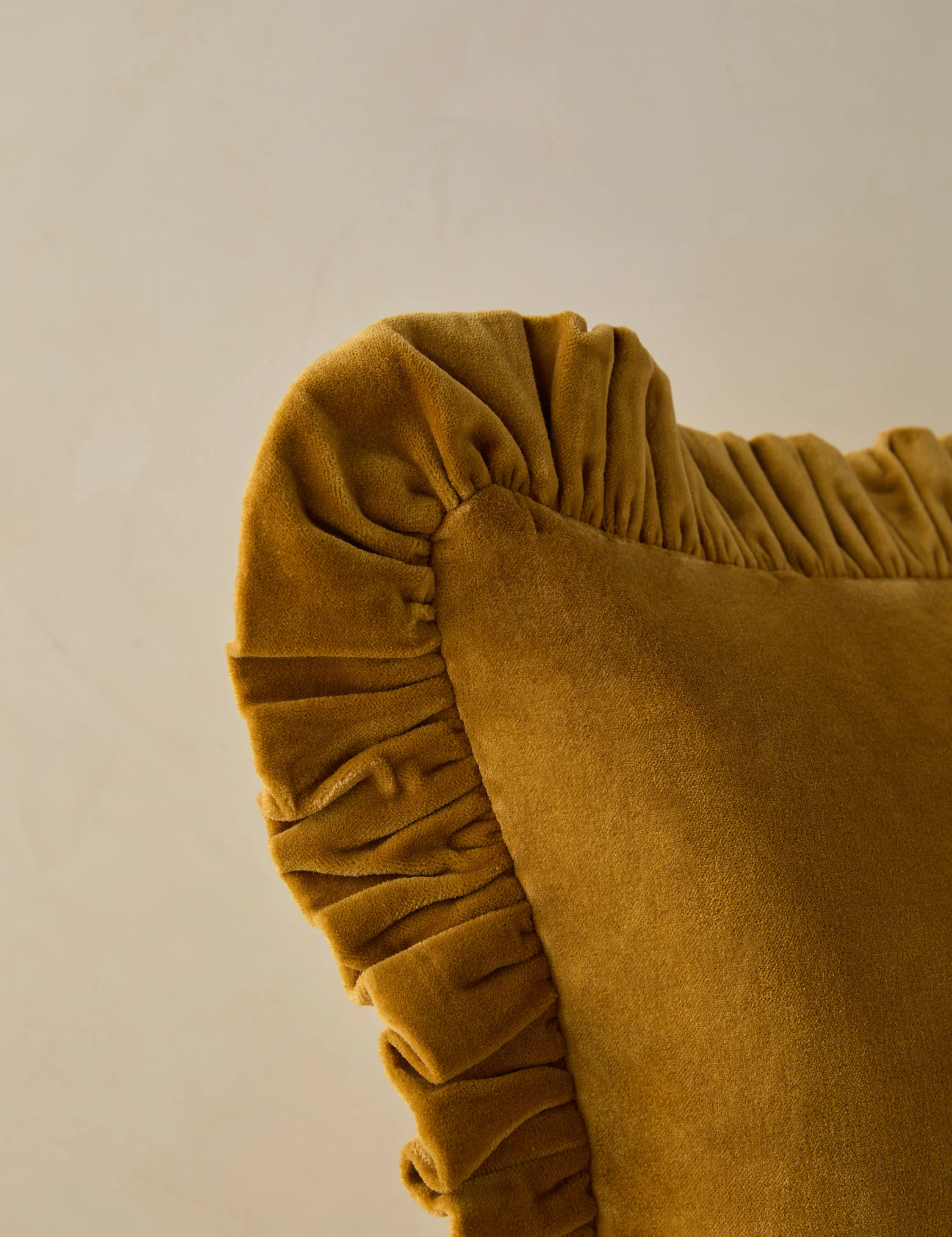 Mauree Velvet Pillow 19 Mauree Velvet Pillow