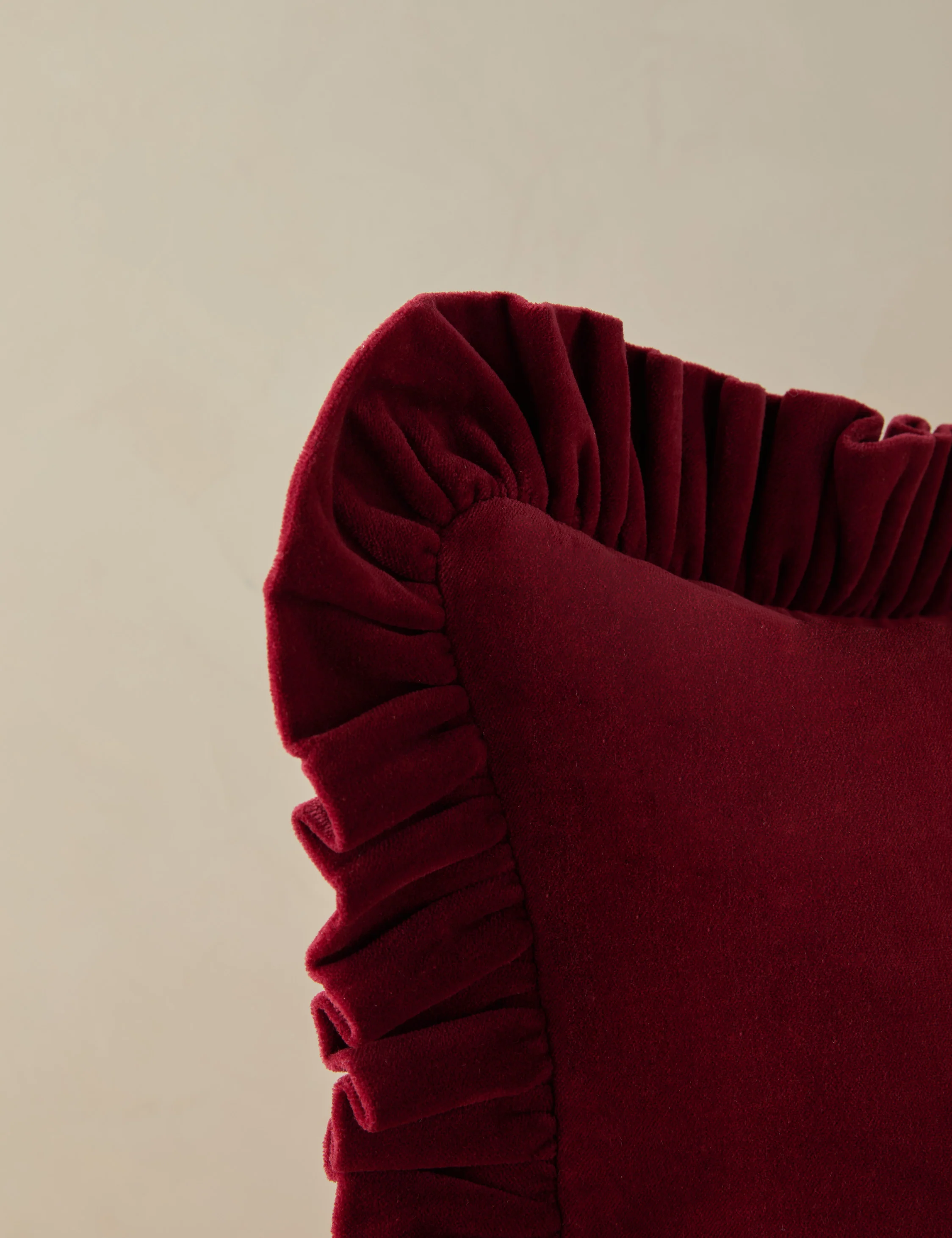 Mauree Velvet Pillow 8 Mauree Velvet Pillow