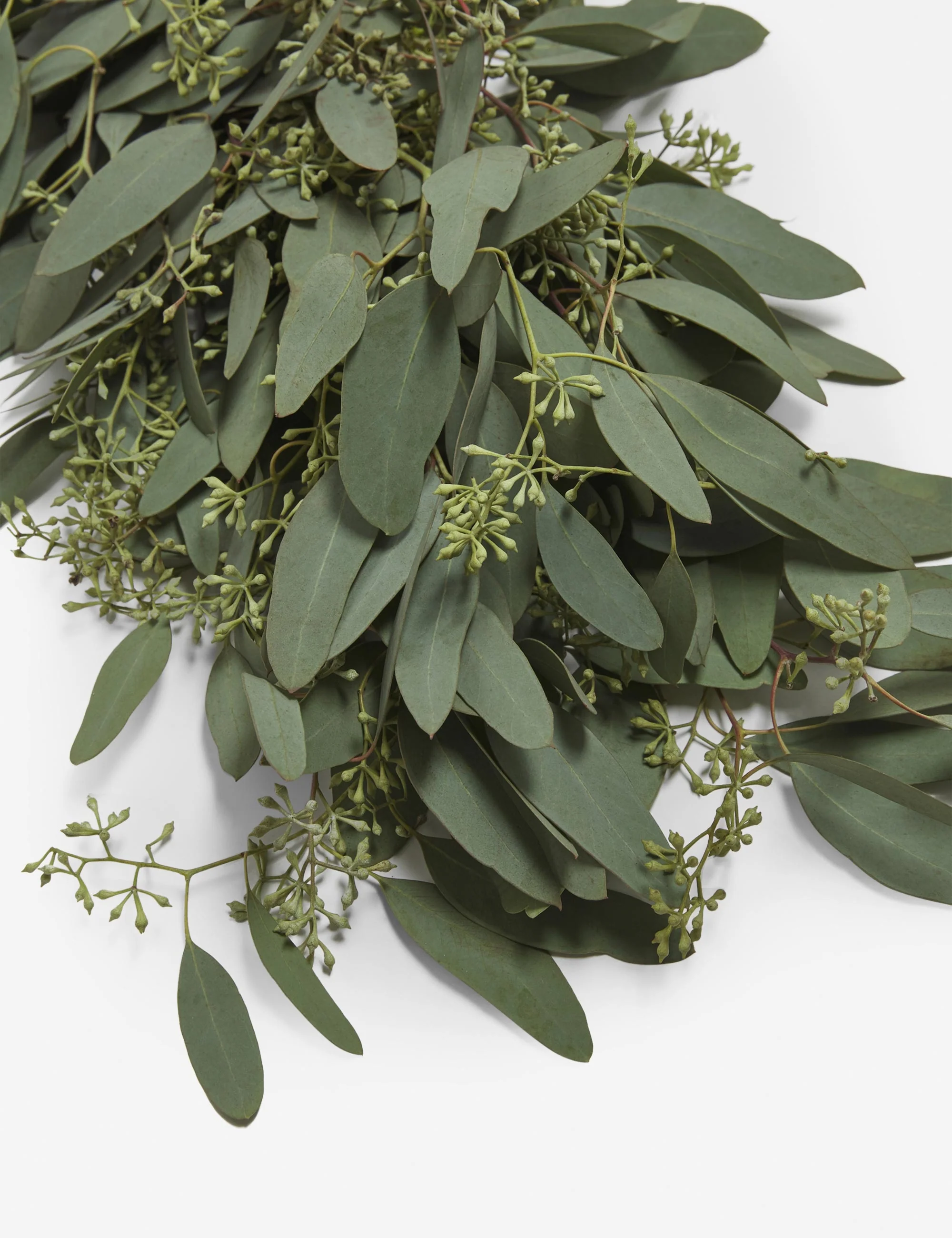 Fresh Handmade Seeded Eucalyptus Garland 9 Fresh Handmade Seeded Eucalyptus Garland