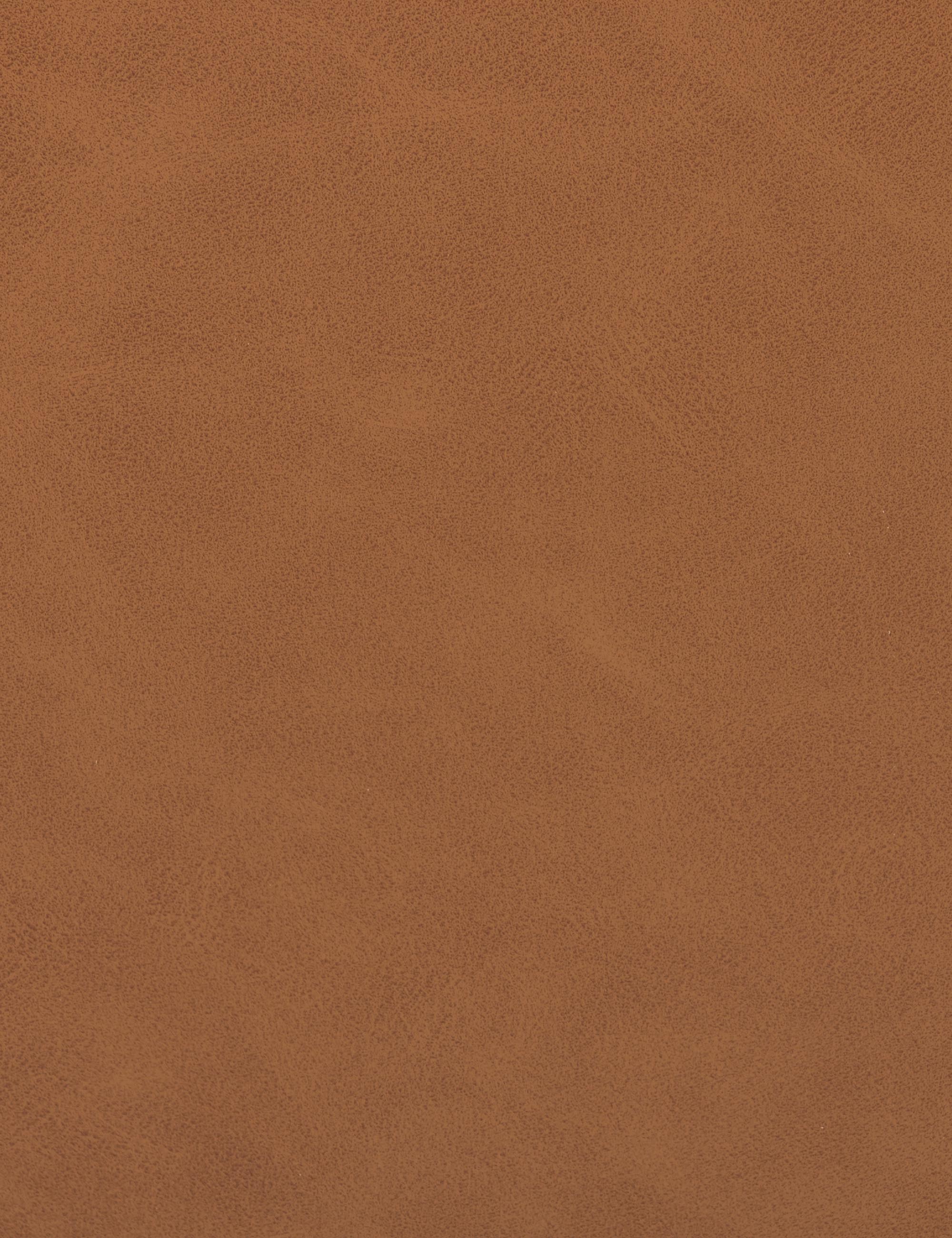 Marla Dining Chair 12 Marla Dining Chair