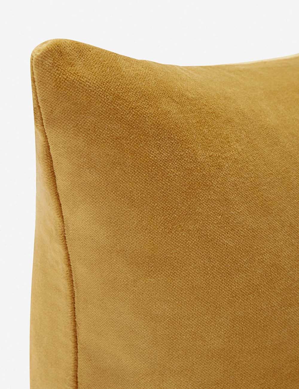 Charlotte Velvet Pillow 44 Charlotte Velvet Pillow