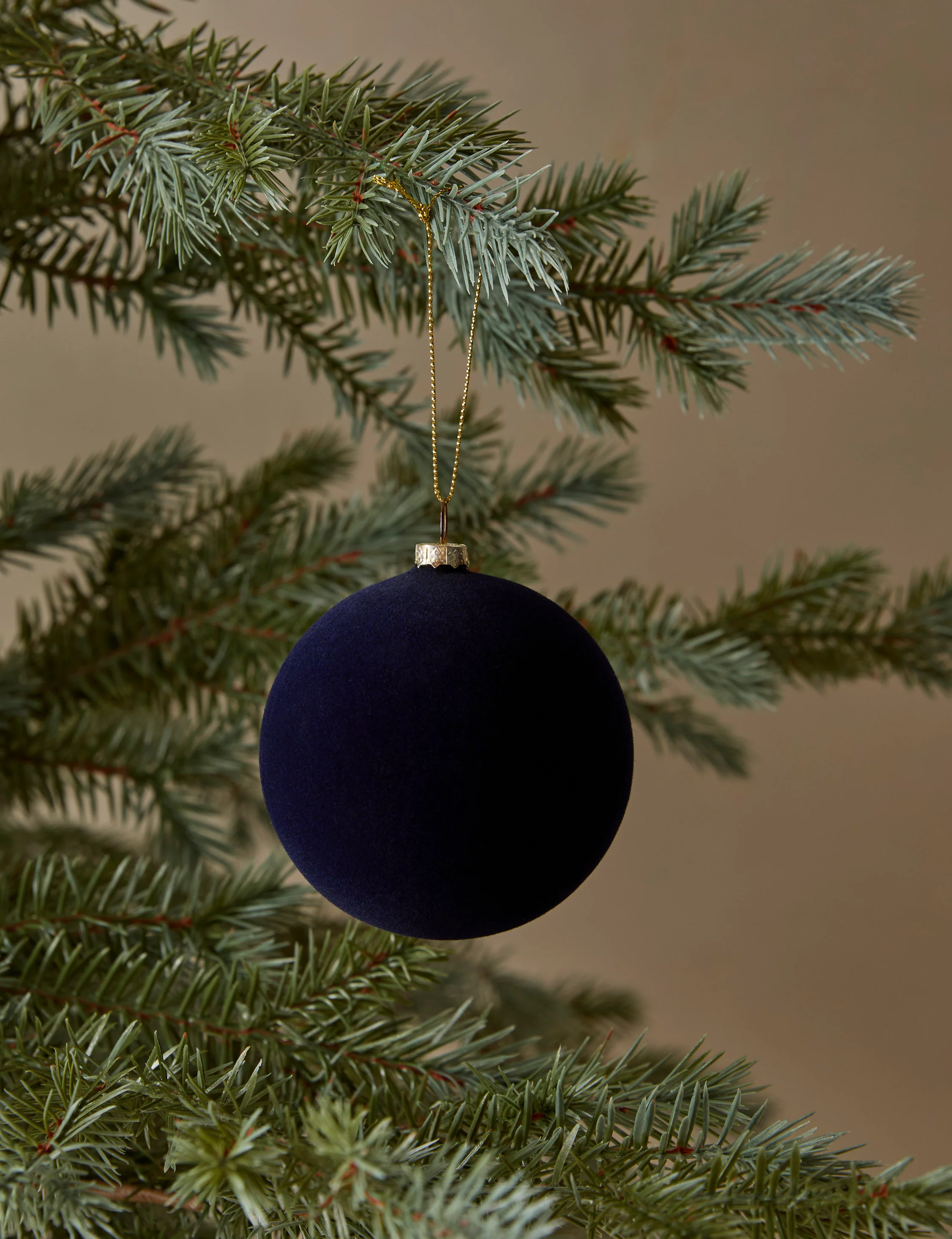 Velvet Ball Ornament (Set of 2) by Cody Foster and Co