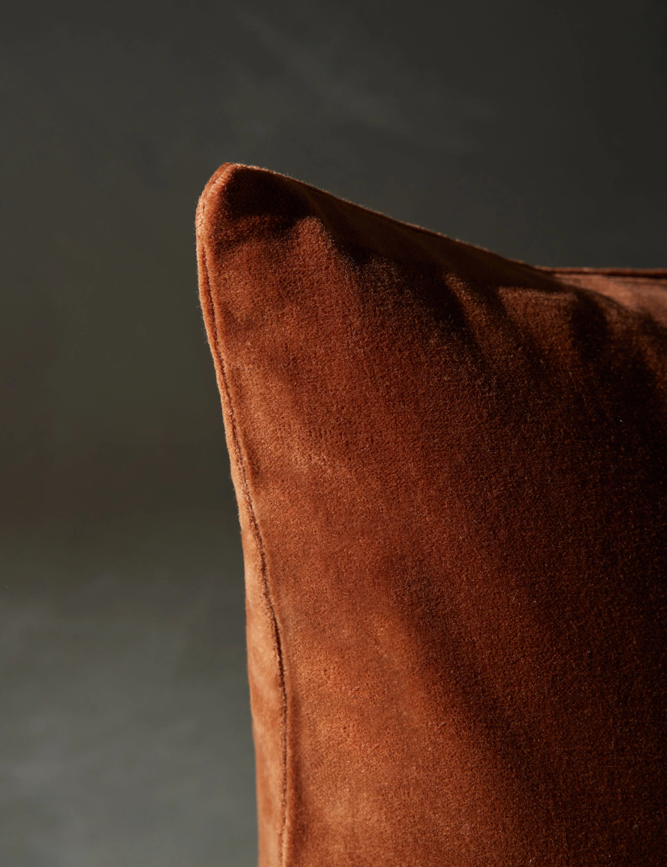 Caddie Velvet Pillow