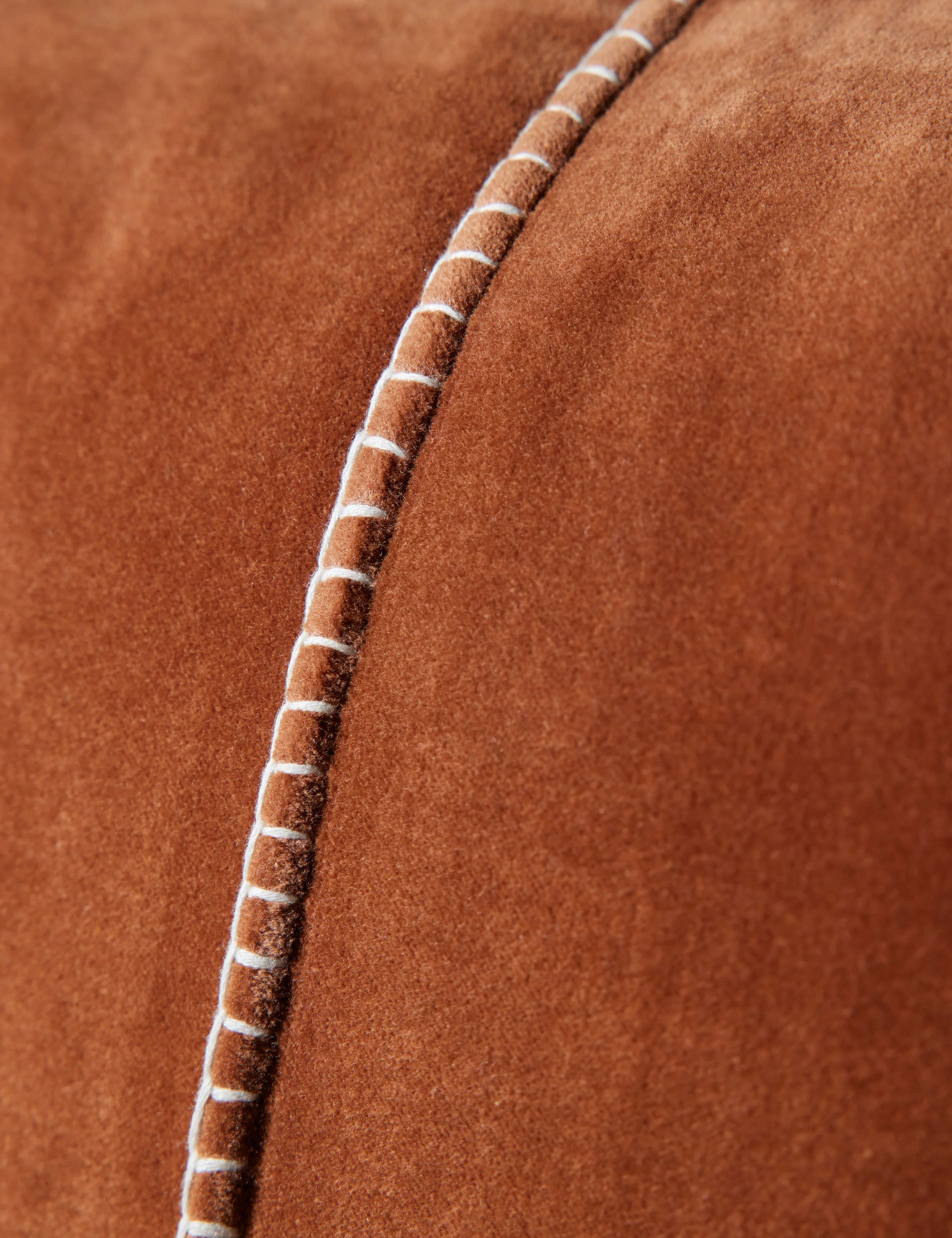 Caddie Velvet Pillow