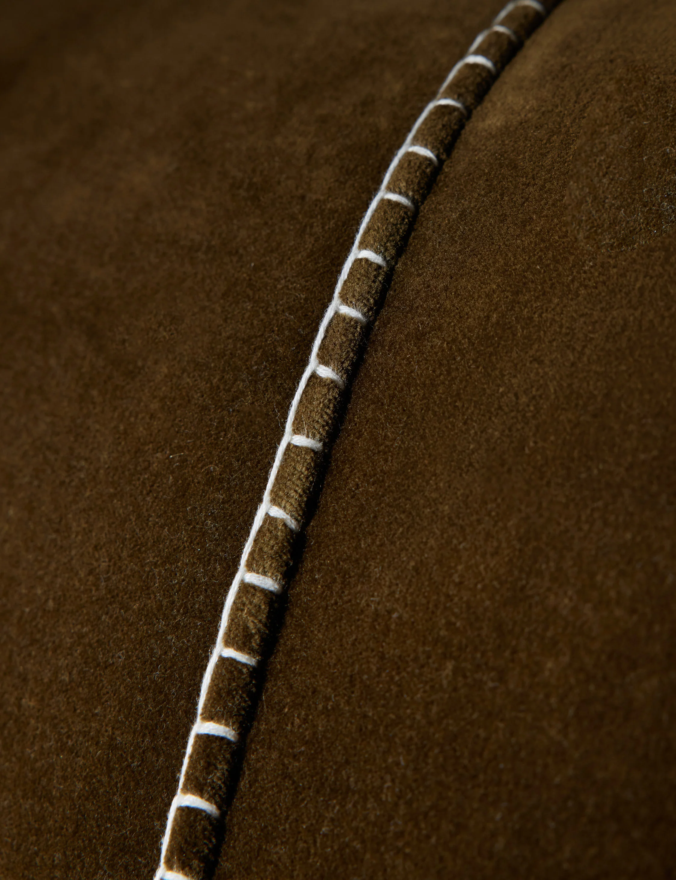 Caddie Velvet Pillow