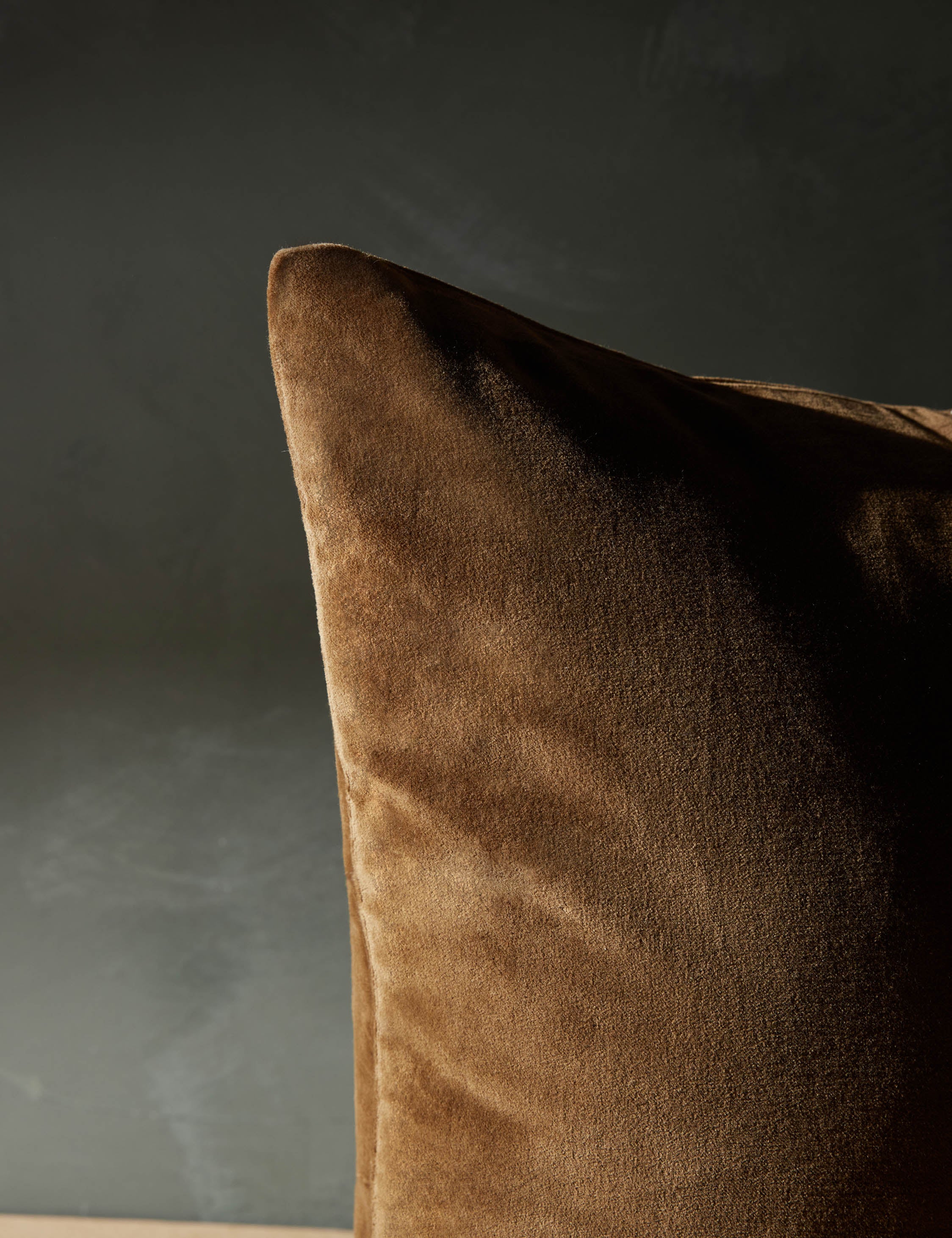 Caddie Velvet Pillow