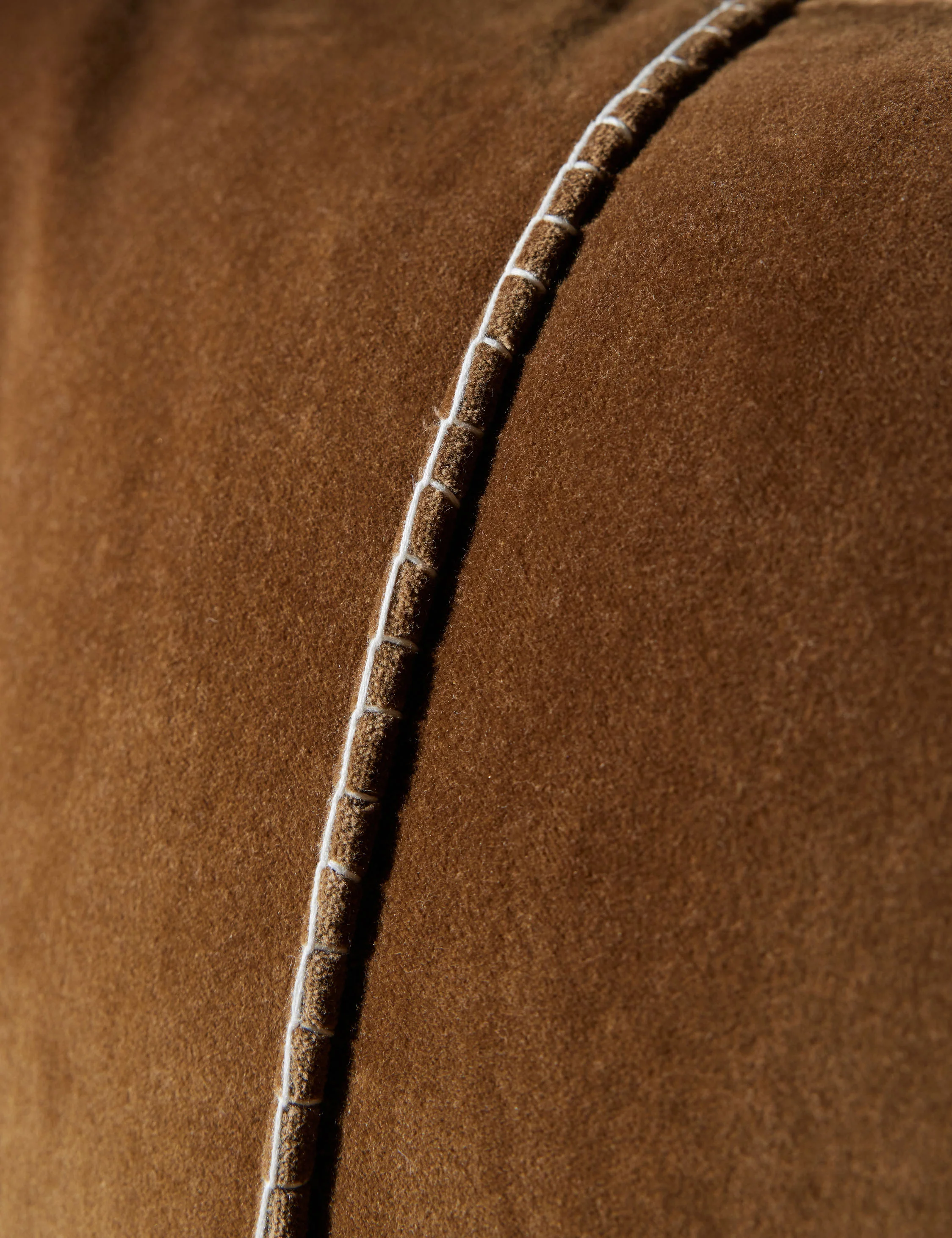 Caddie Velvet Pillow