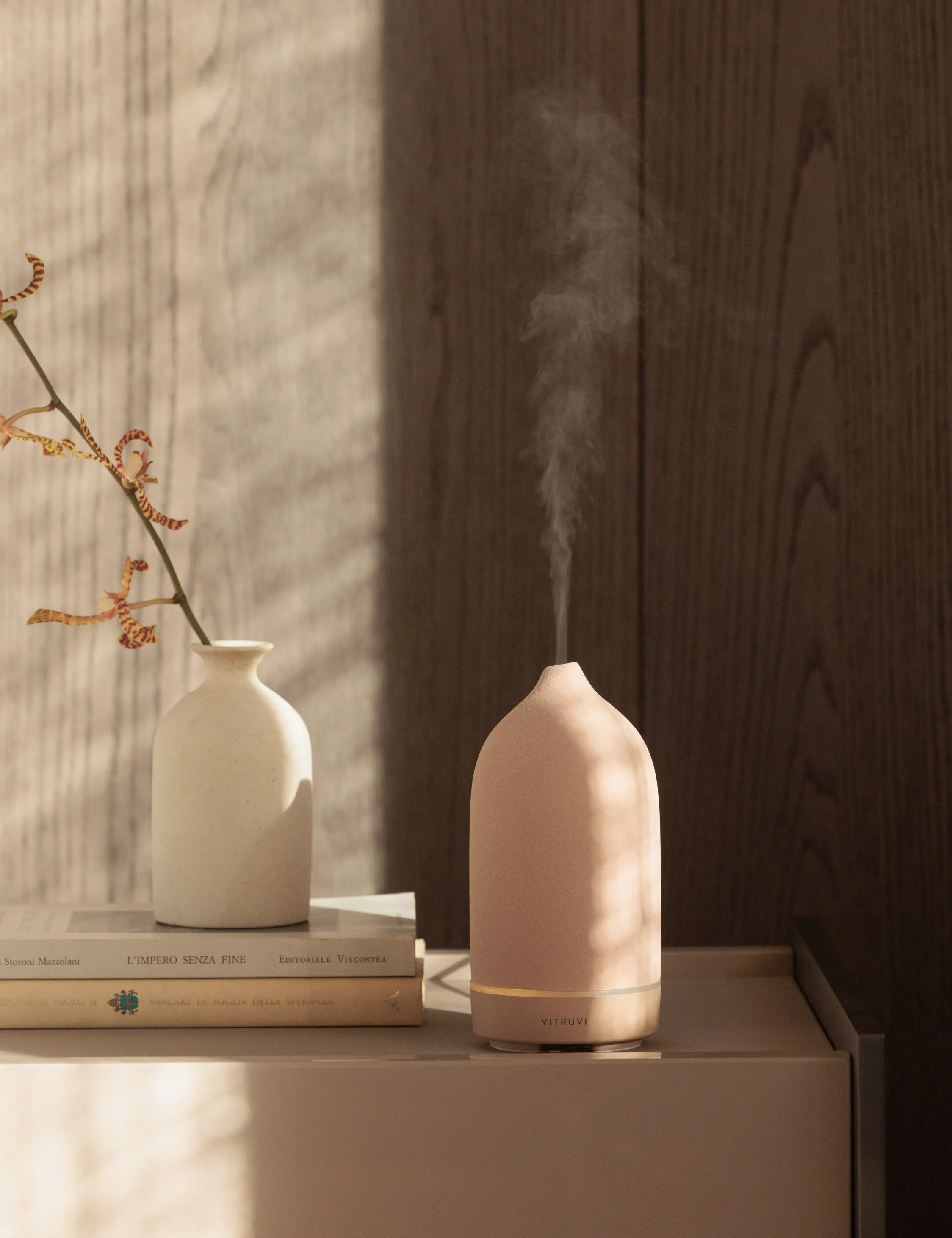 Stone Diffuser by Vitruvi