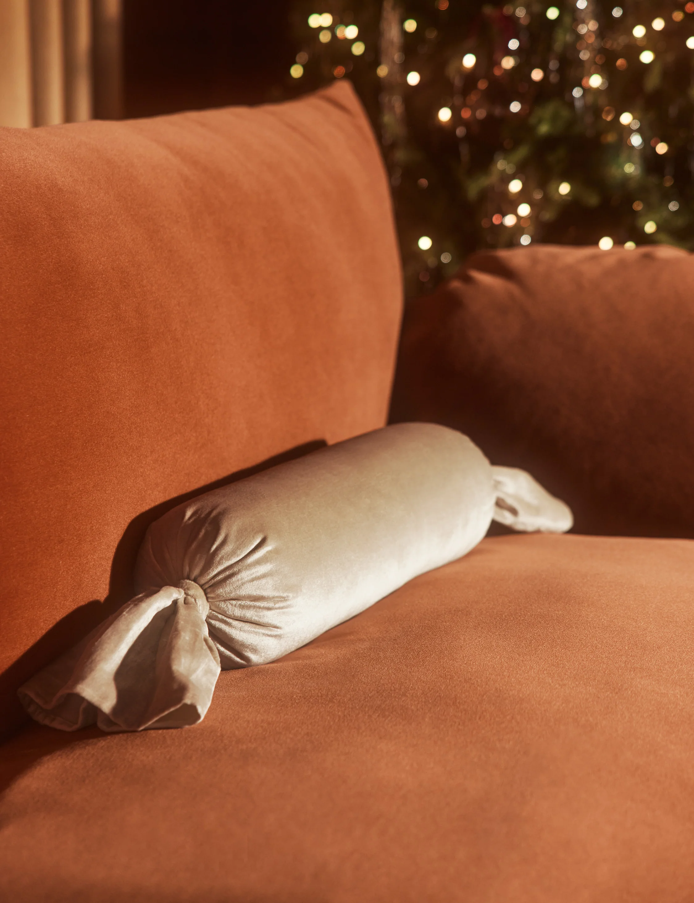 Brandis Velvet Pillow