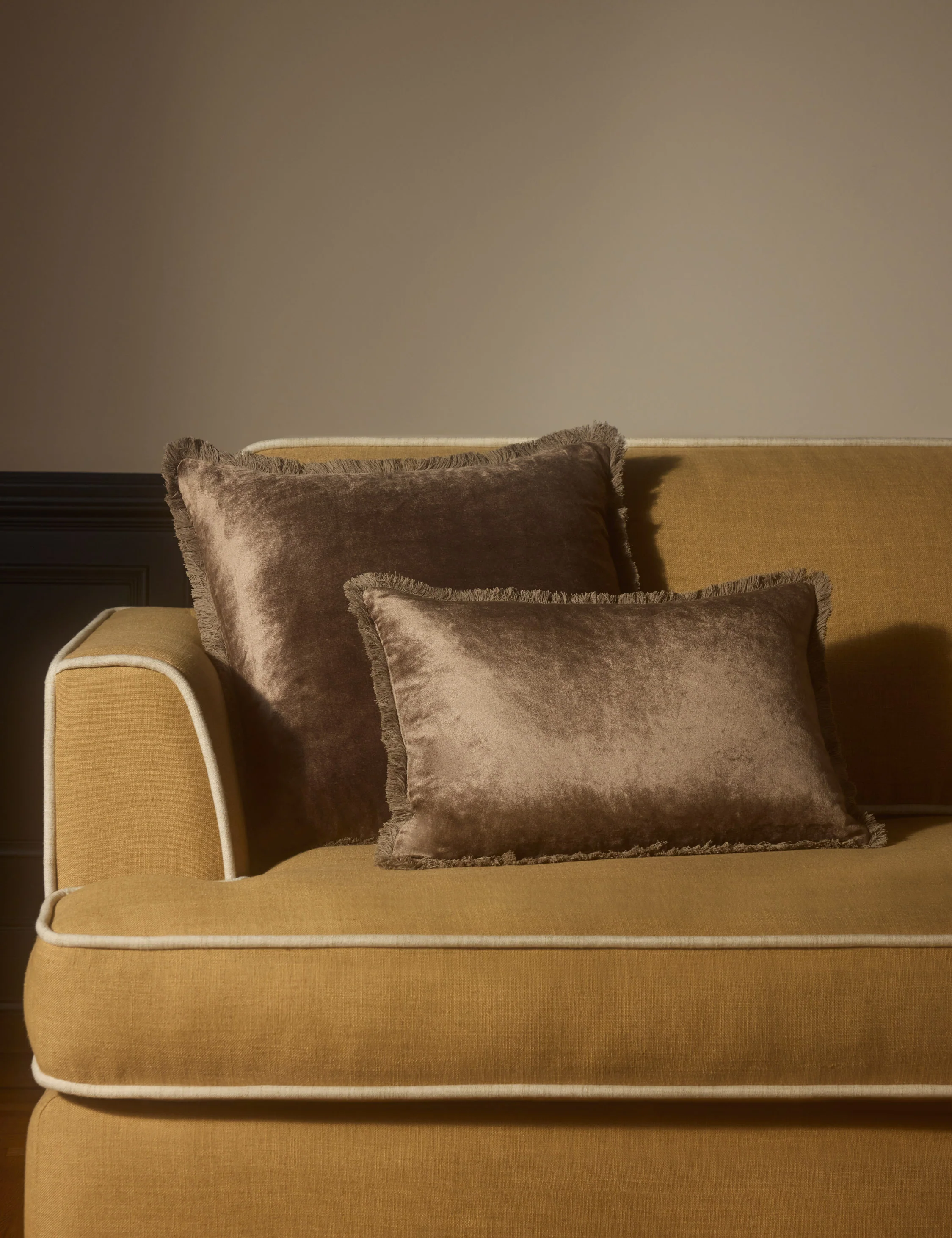 Brandis Velvet Pillow