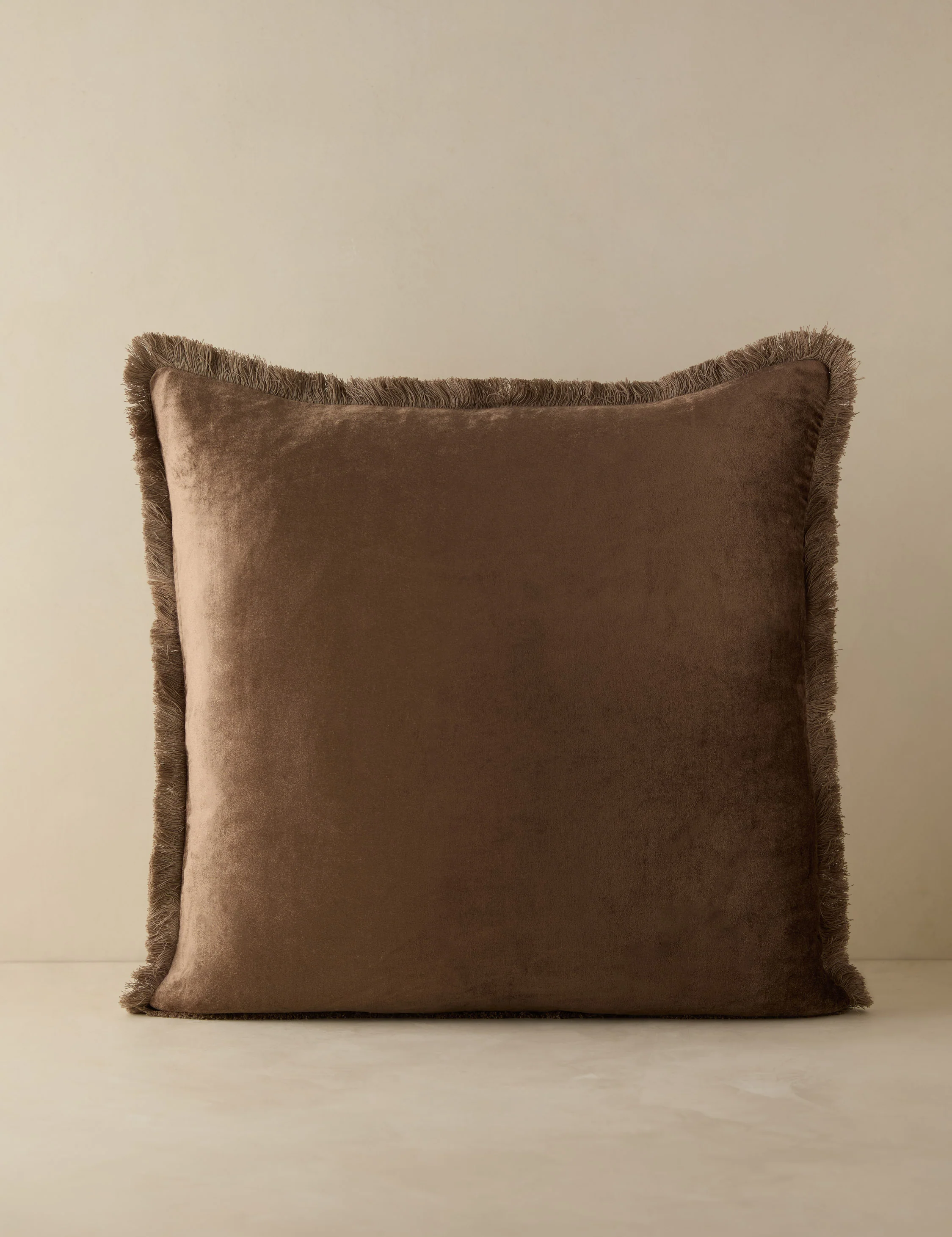Brandis Velvet Pillow