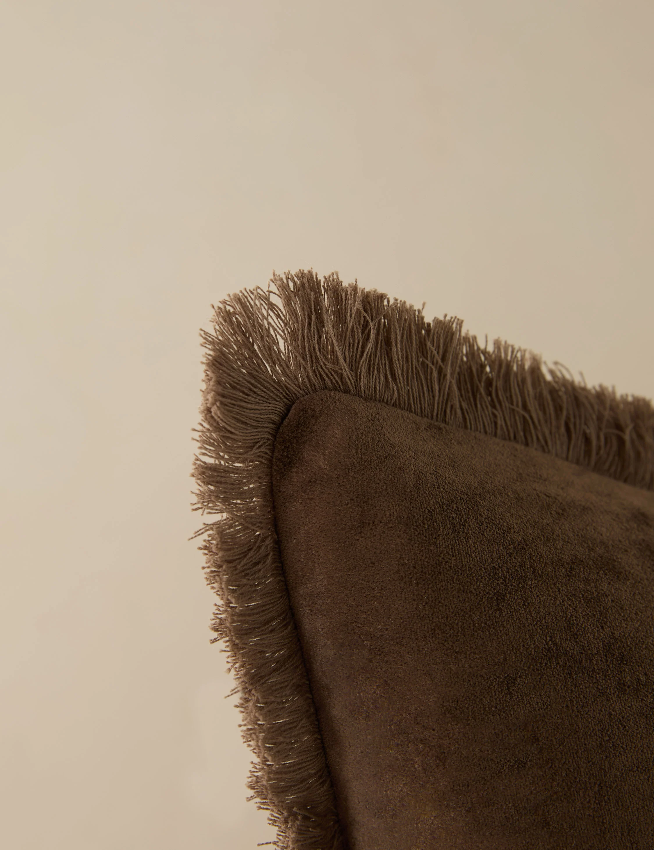 Brandis Velvet Pillow