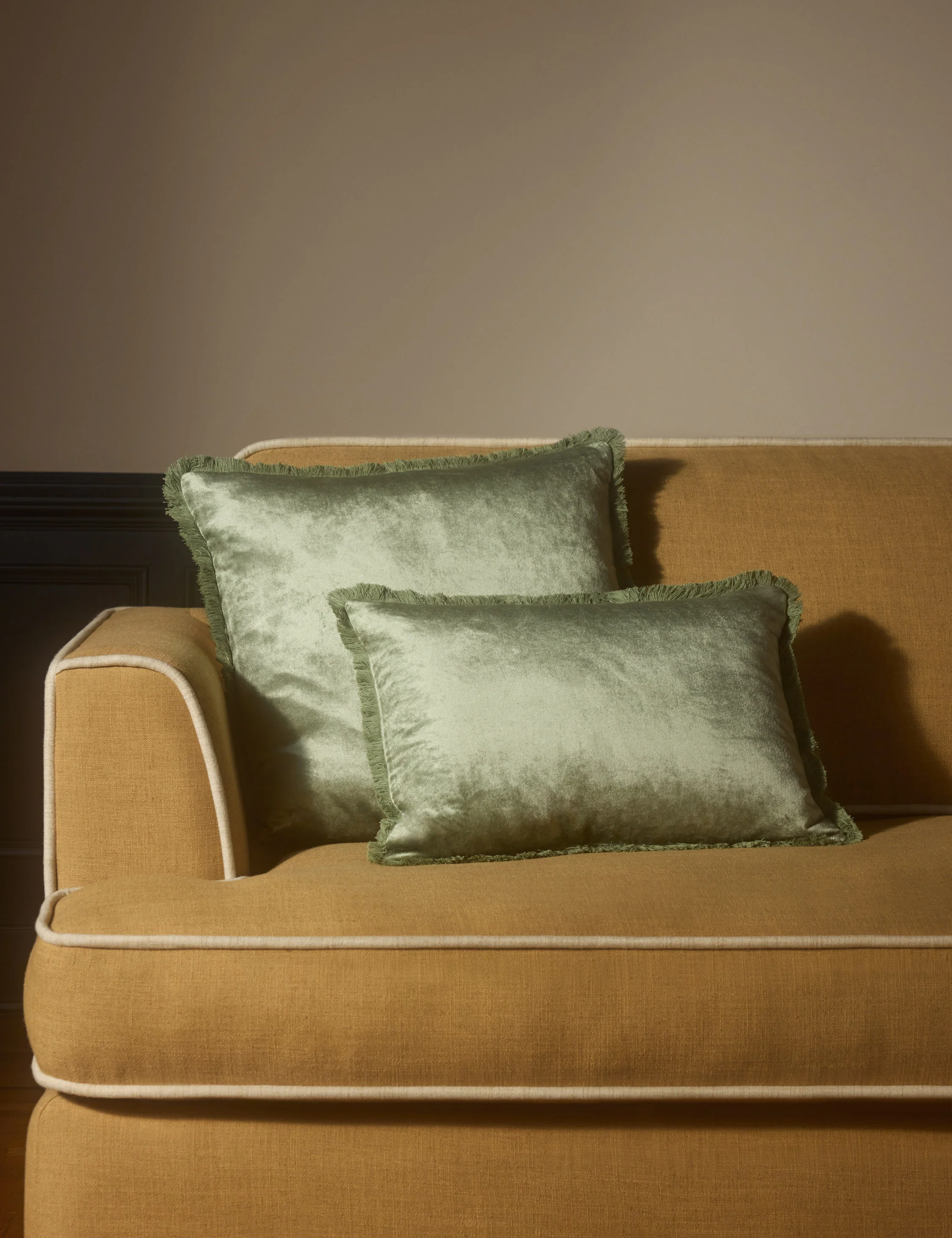 Brandis Velvet Pillow