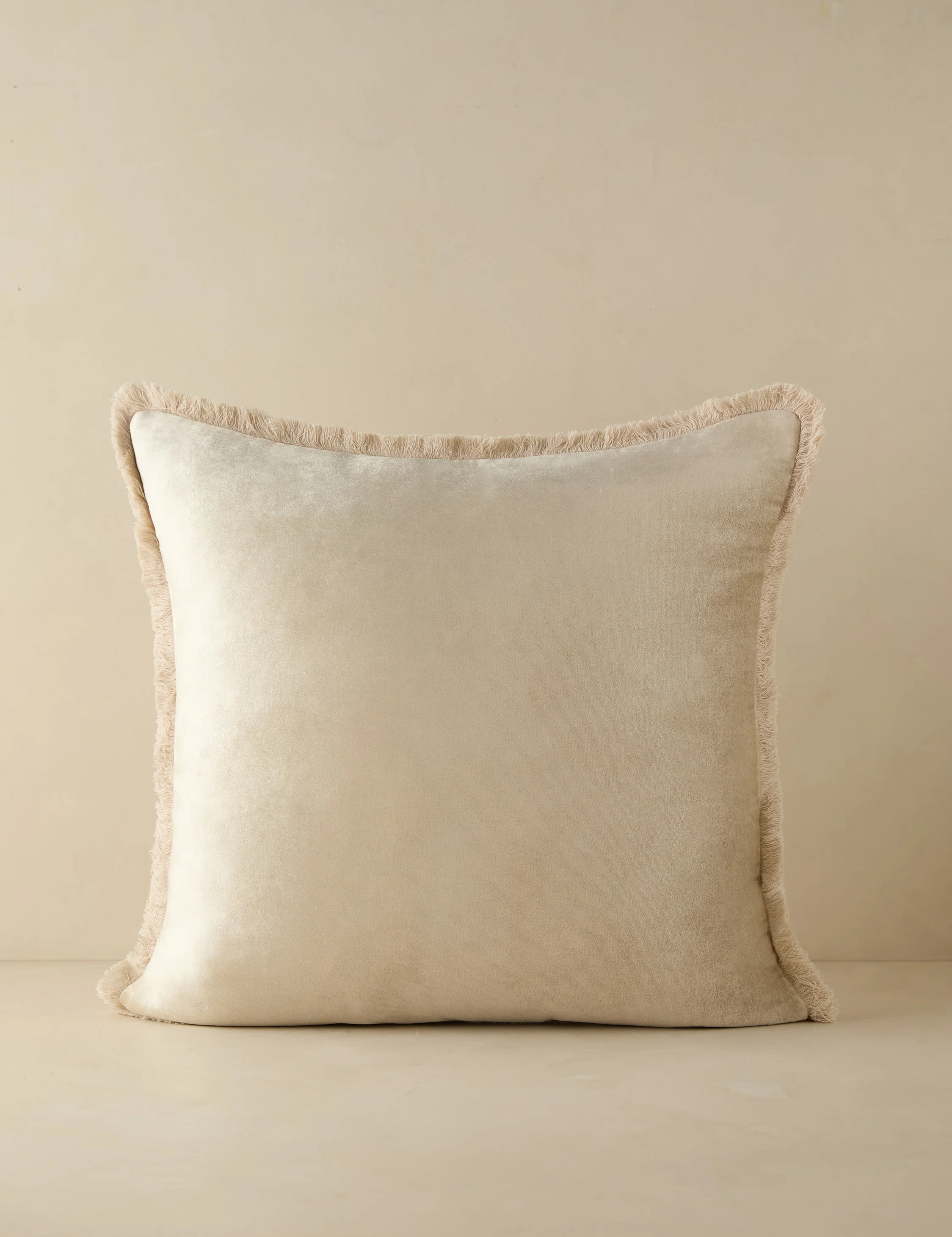 Brandis Velvet Pillow