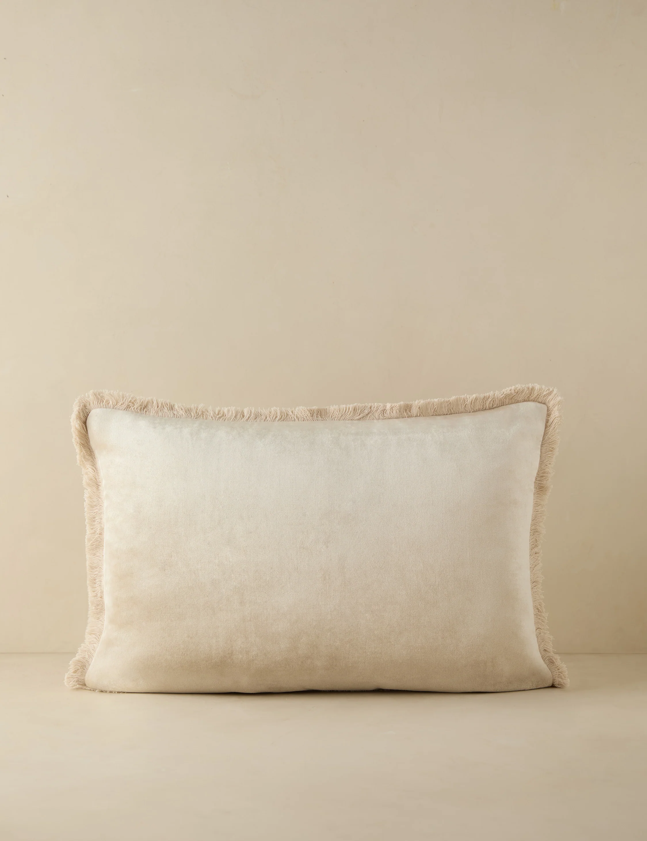 Brandis Velvet Pillow