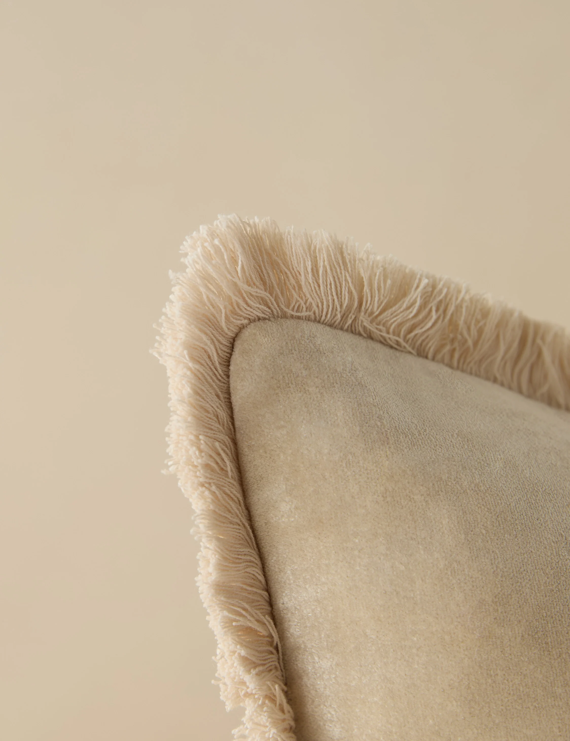 Brandis Velvet Pillow