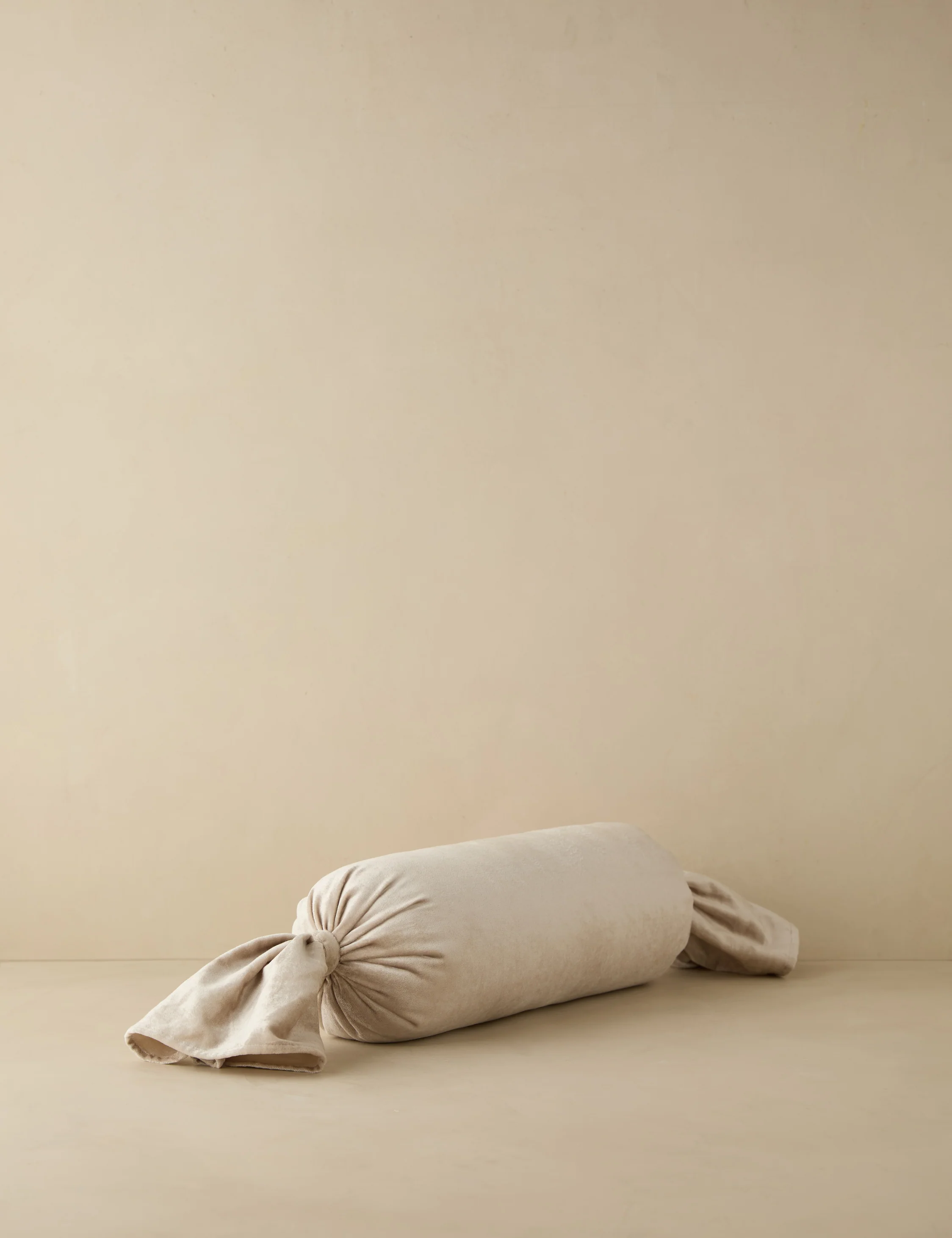 Brandis Velvet Pillow