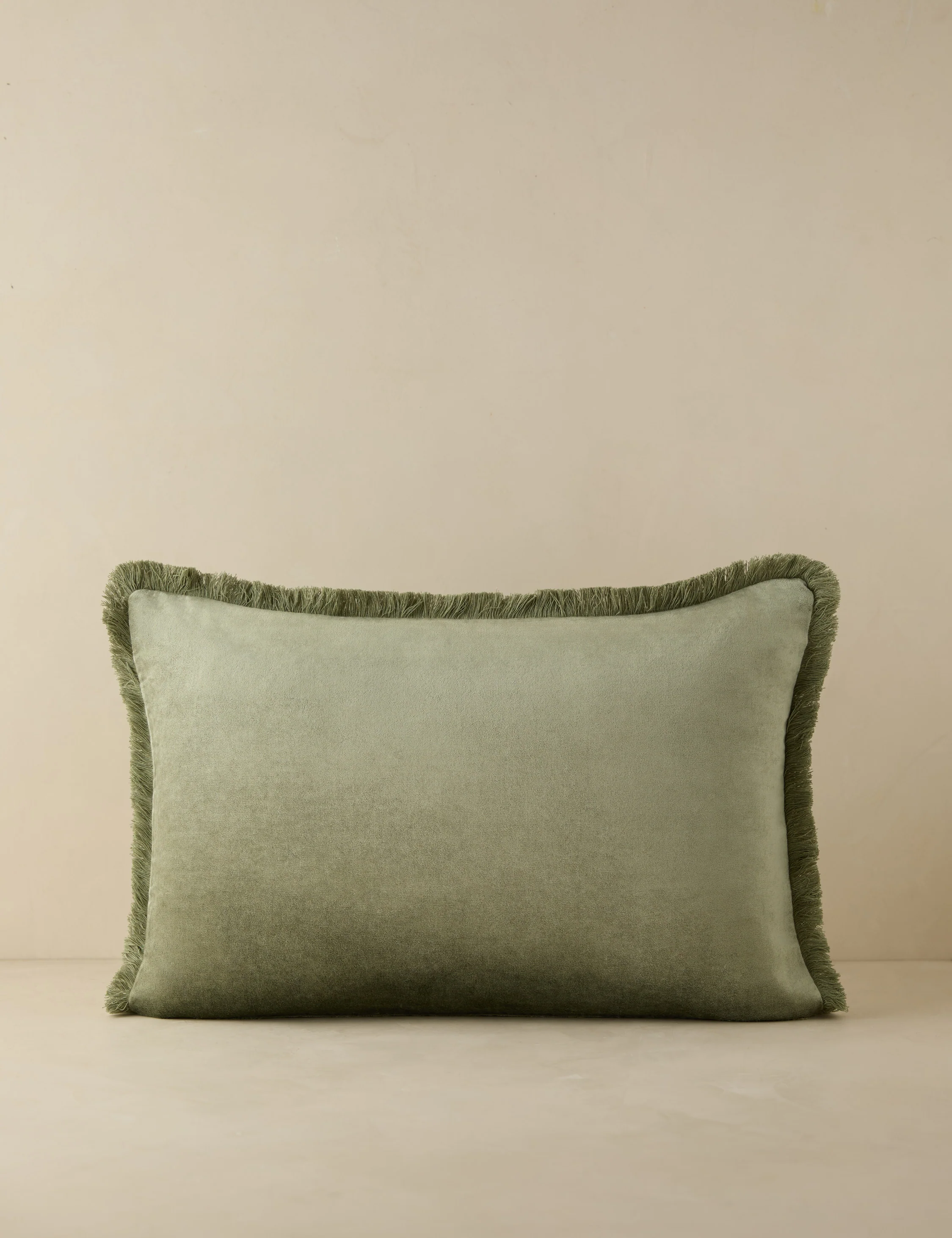 Brandis Velvet Pillow