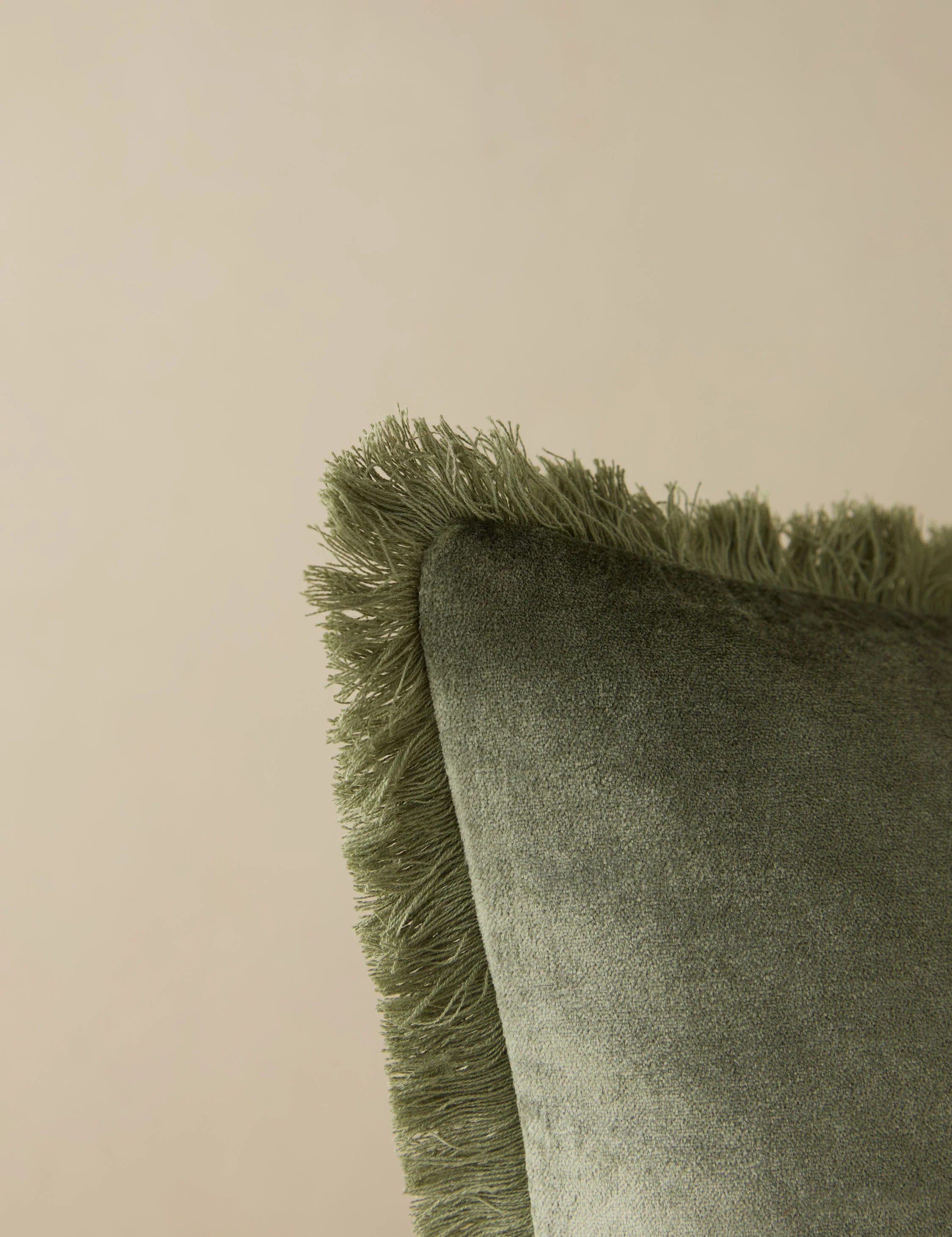 Brandis Velvet Pillow