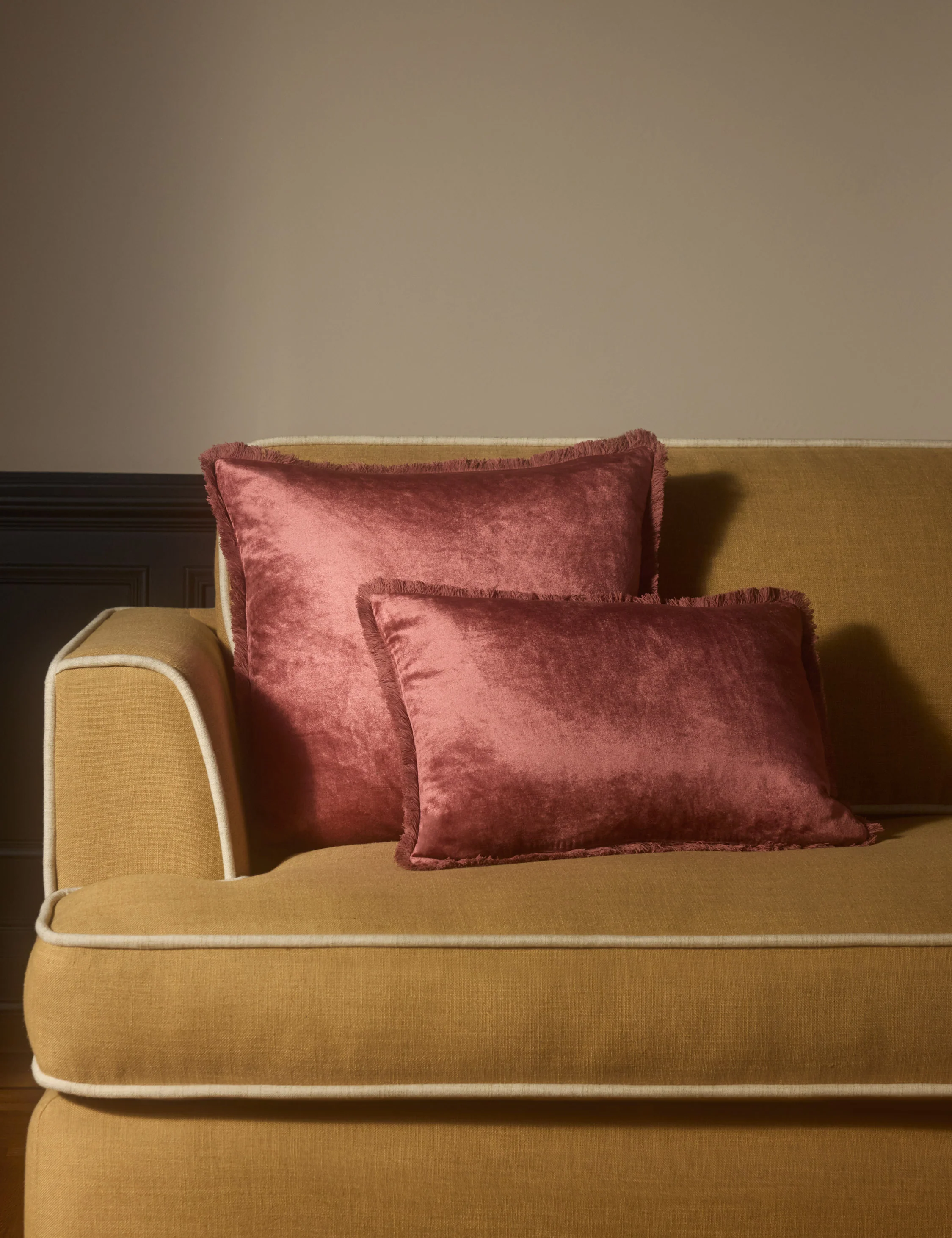 Brandis Velvet Pillow