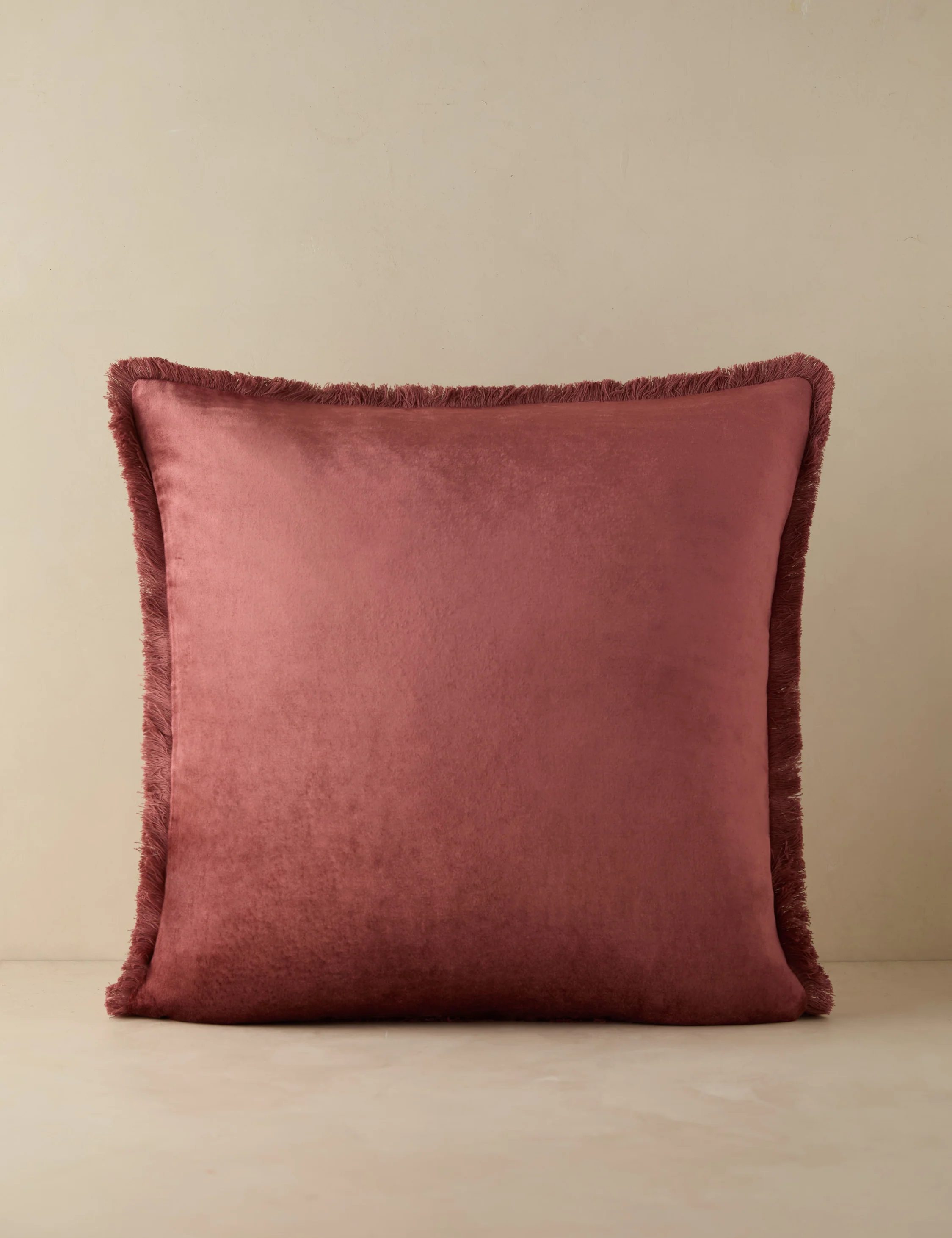 Brandis Velvet Pillow