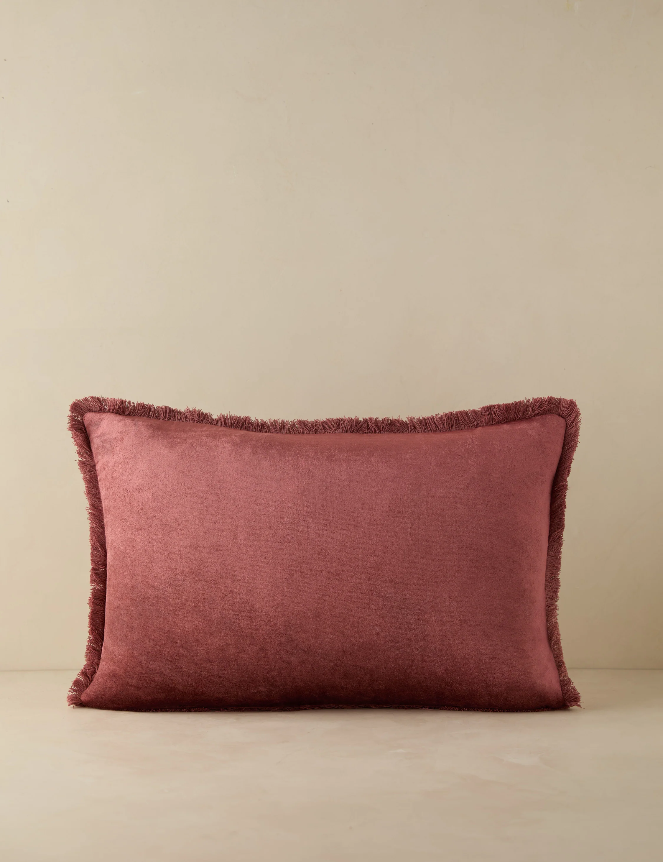 Brandis Velvet Pillow