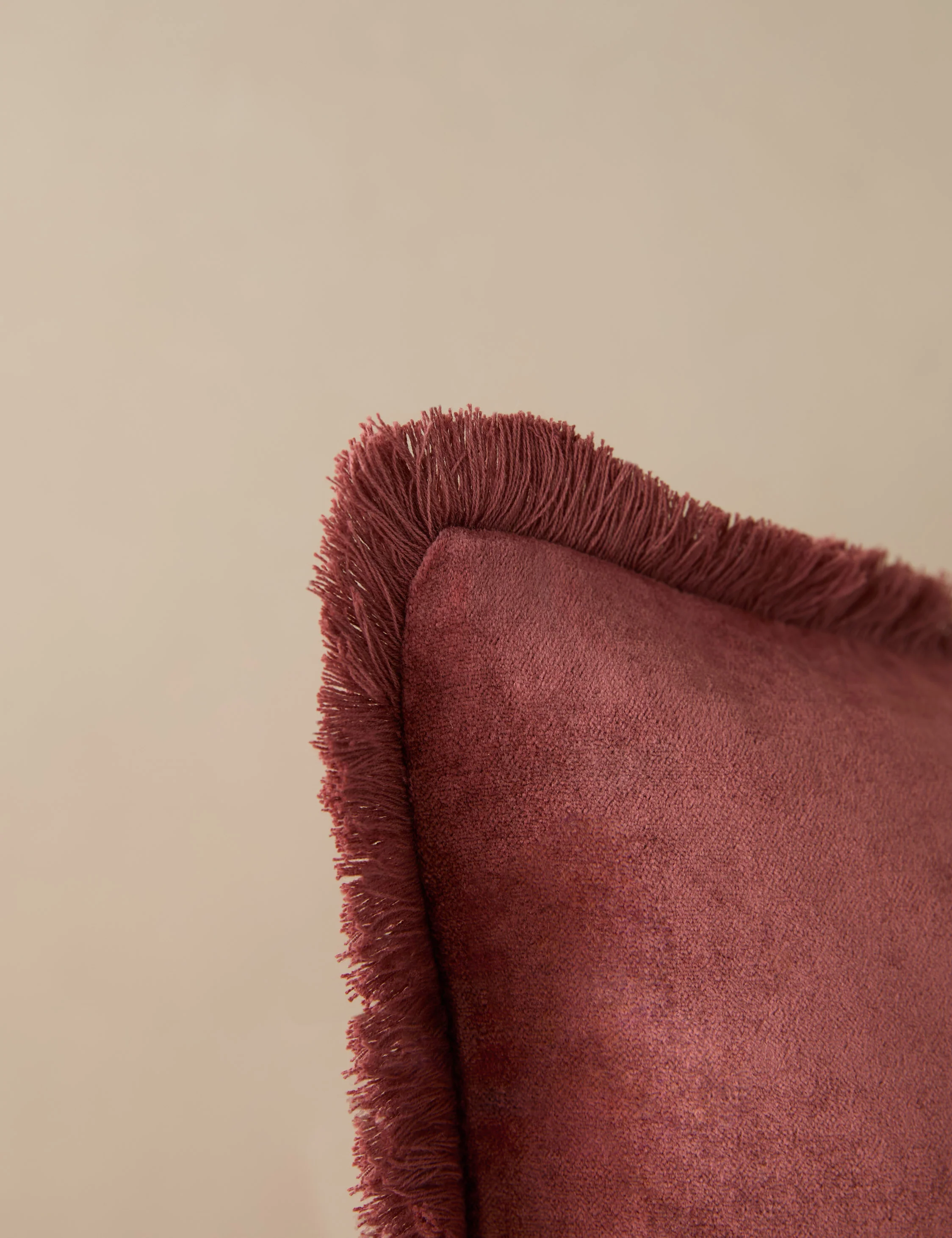 Brandis Velvet Pillow