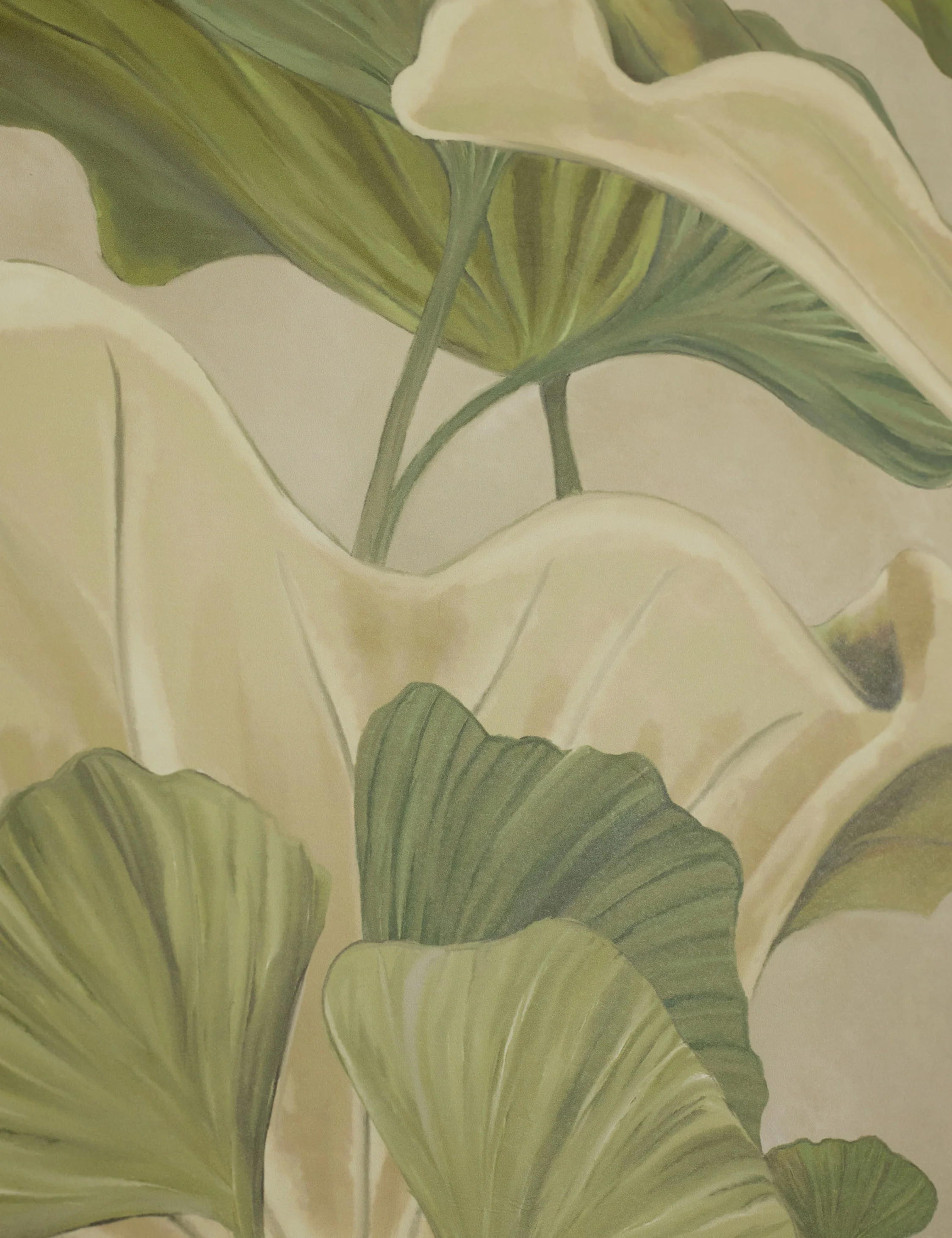 Lotus Wallpaper by Aimee Song