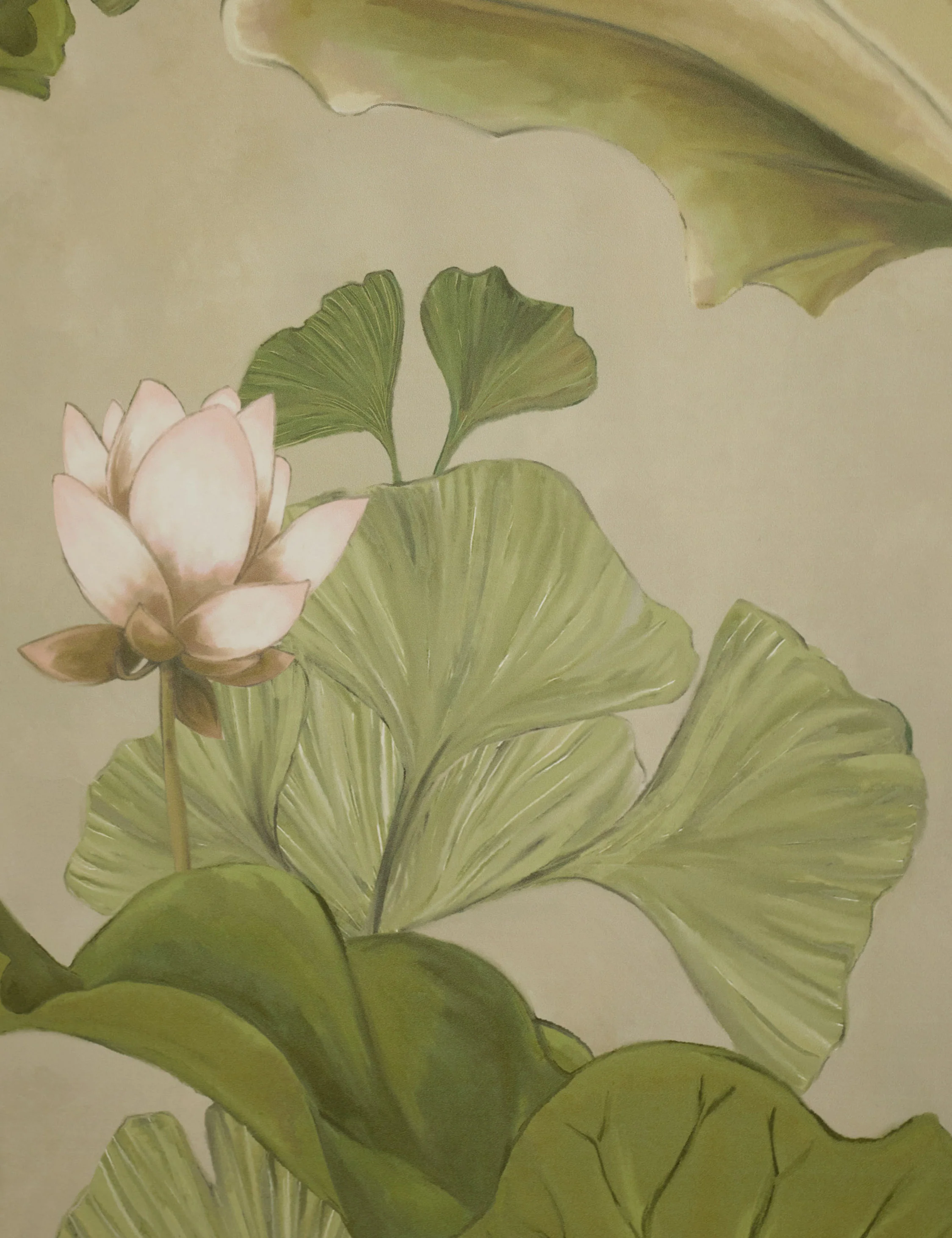 Lotus Wallpaper by Aimee Song