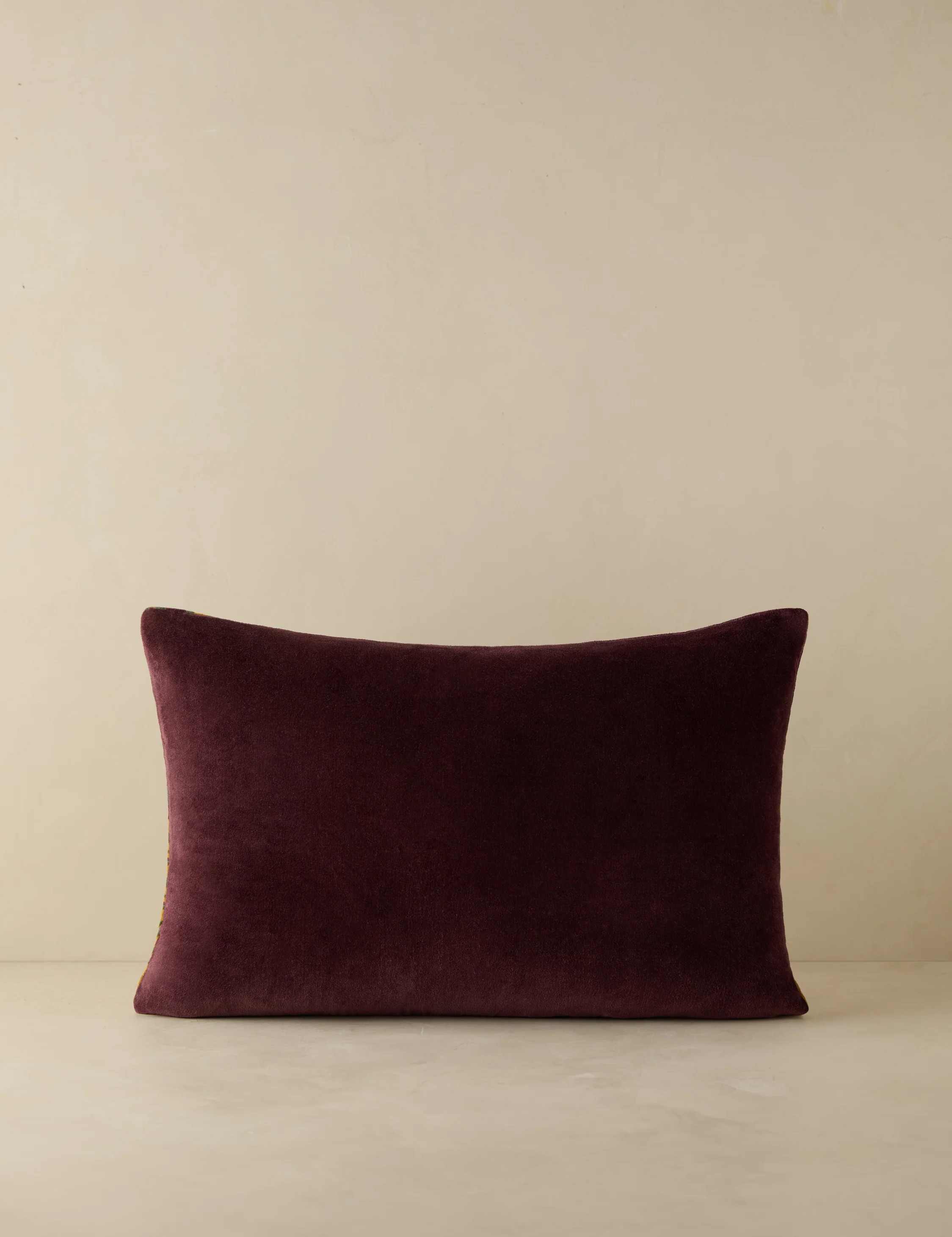 Agnetha Velvet Pillow 5 Agnetha Velvet Pillow