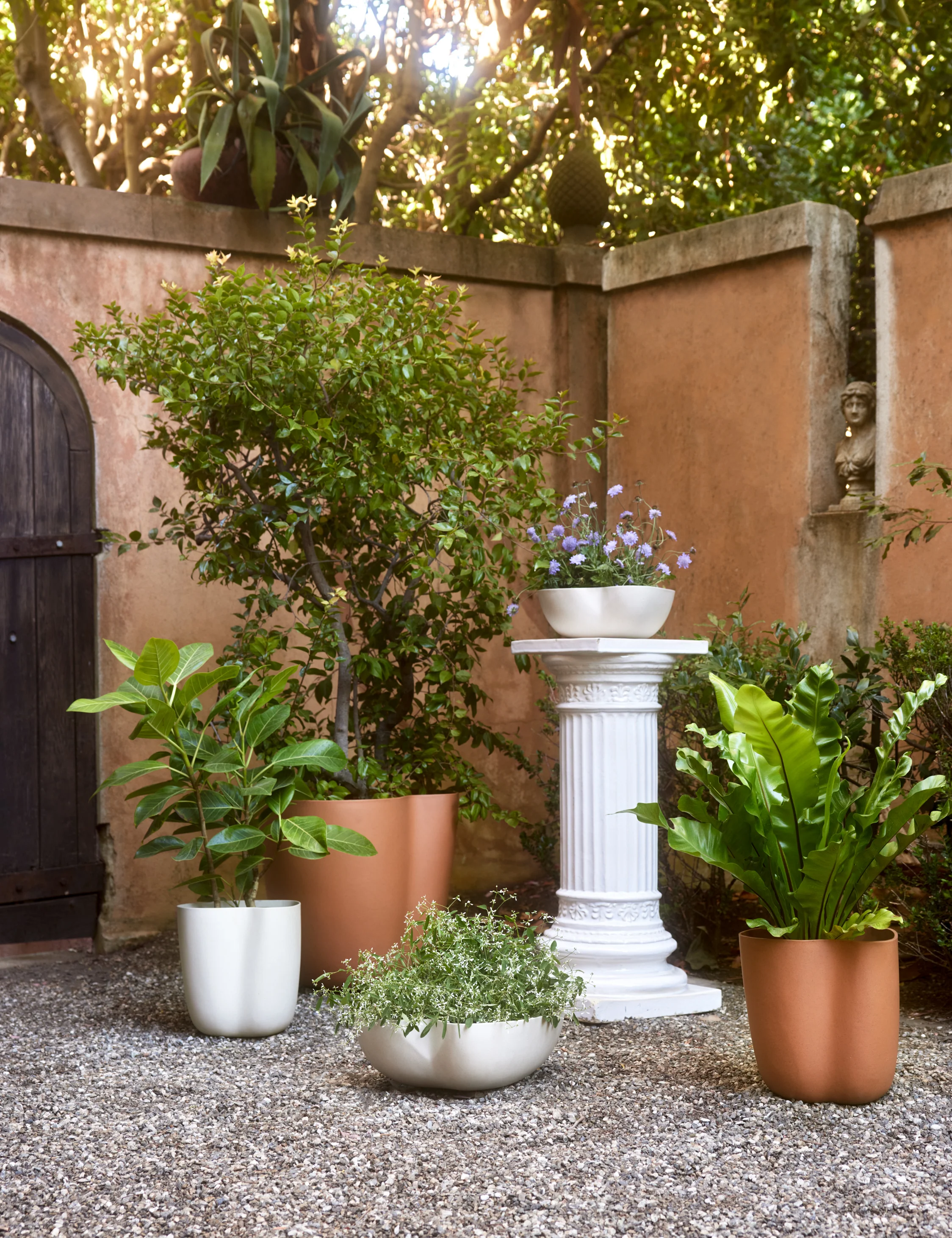 Dempsy Low Planter by Sarah Sherman Samuel