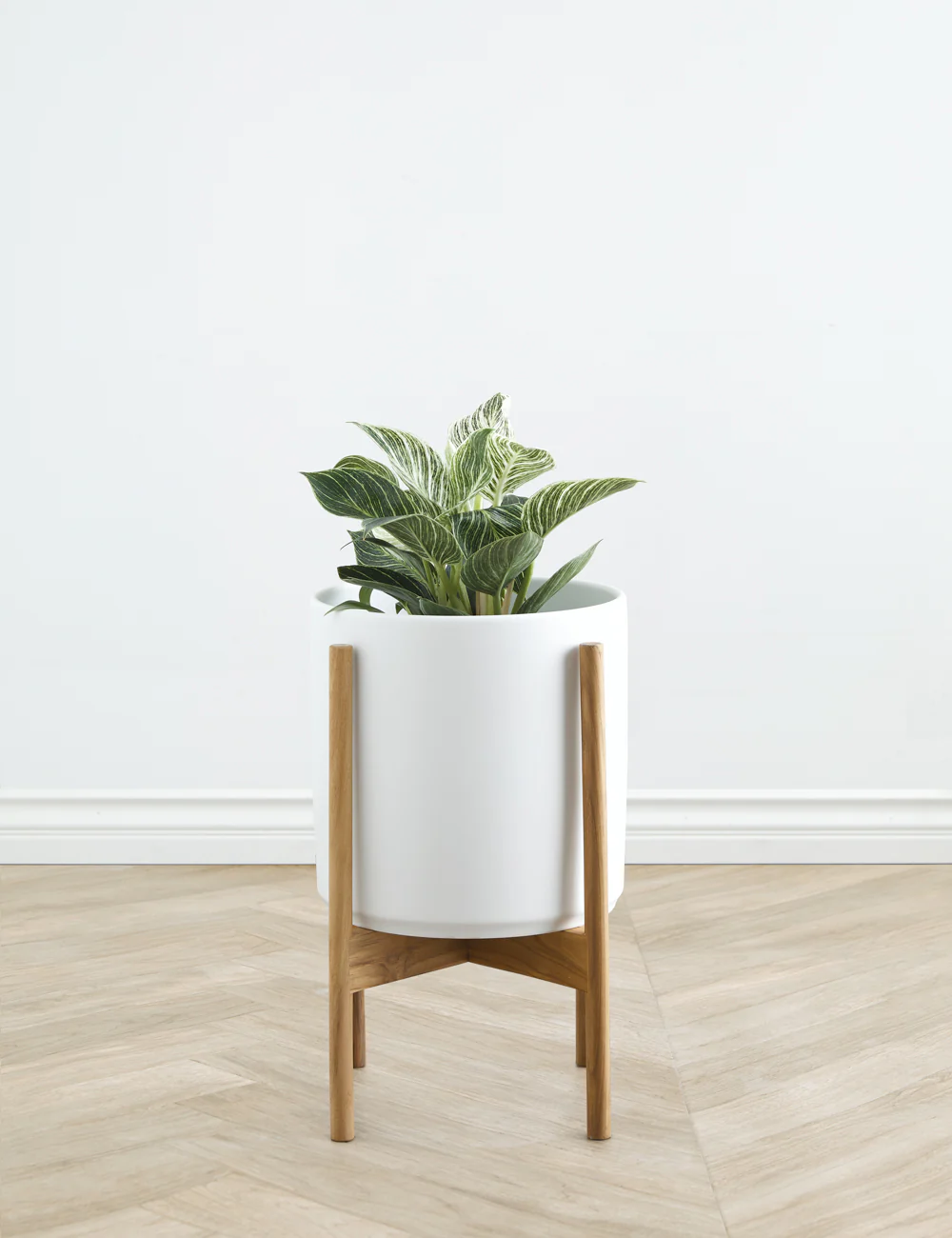 Ceramic Planter Pot + Teak Stand by LBE Design