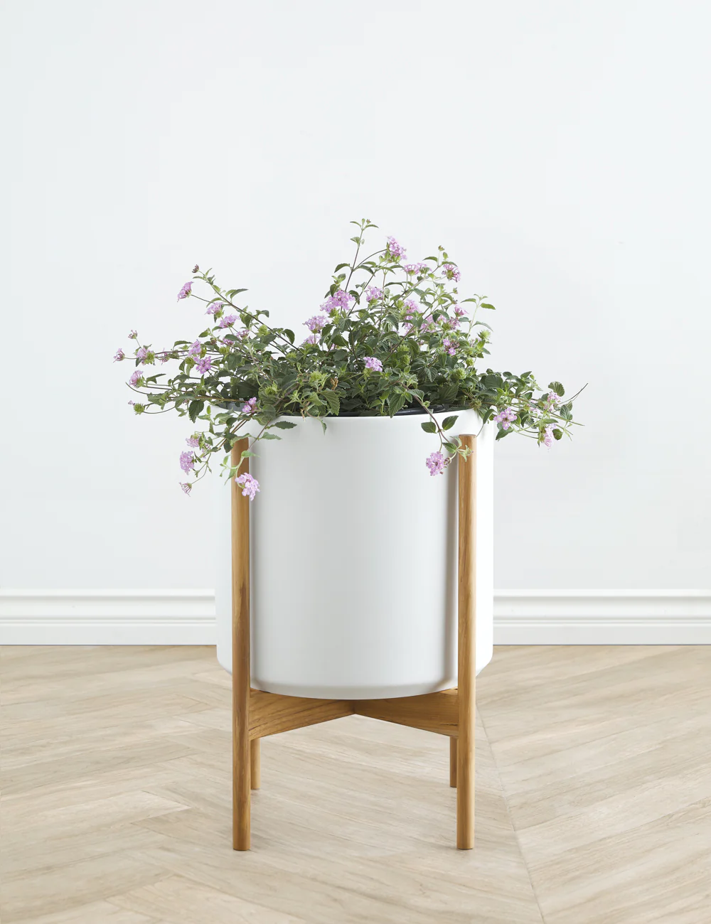 Ceramic Planter Pot + Teak Stand by LBE Design
