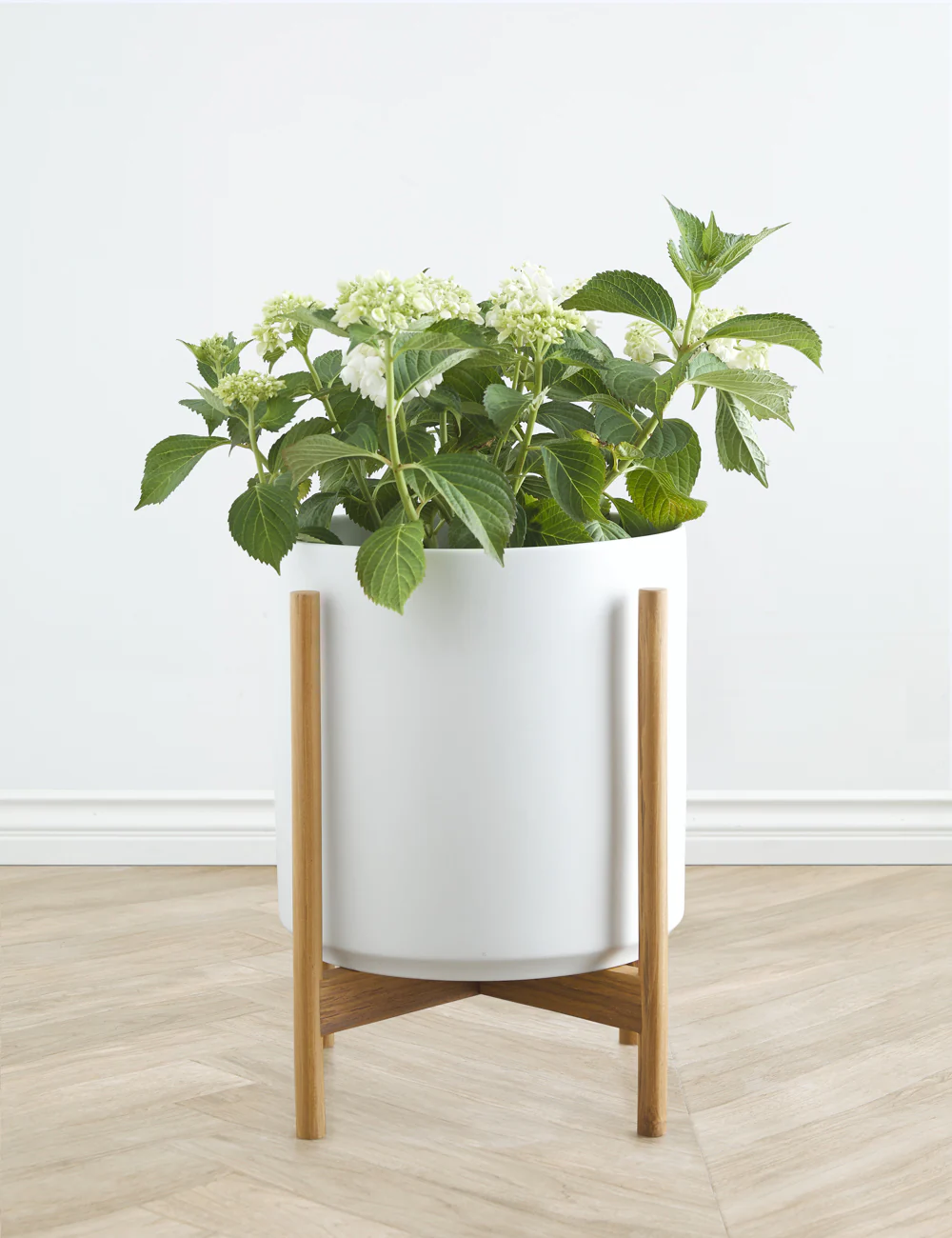 Ceramic Planter Pot + Teak Stand by LBE Design