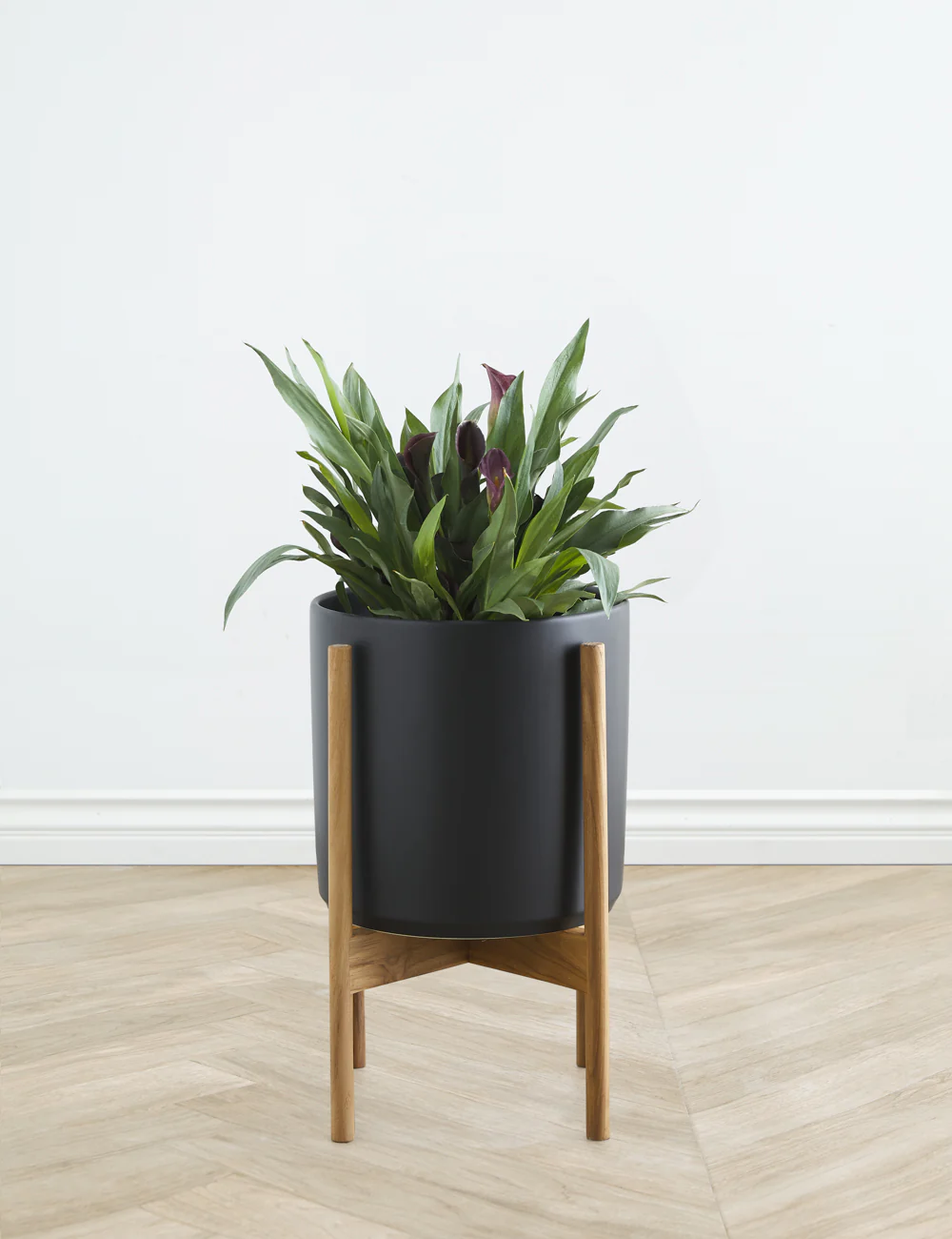 Ceramic Planter Pot + Teak Stand by LBE Design