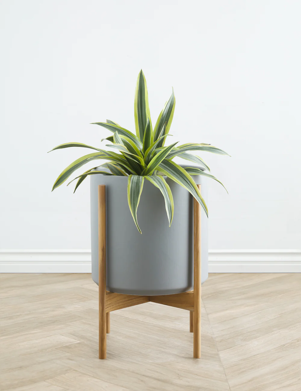 Ceramic Planter Pot + Teak Stand by LBE Design