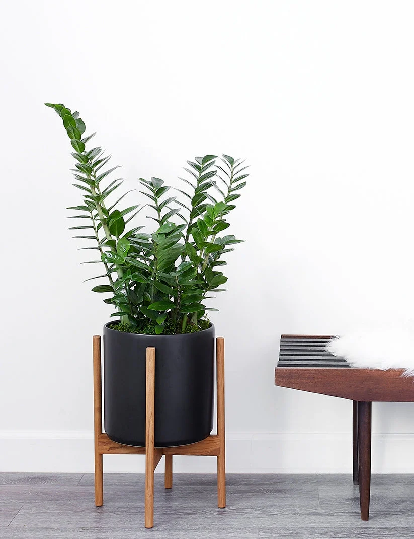 Ceramic Planter Pot + Teak Stand by LBE Design