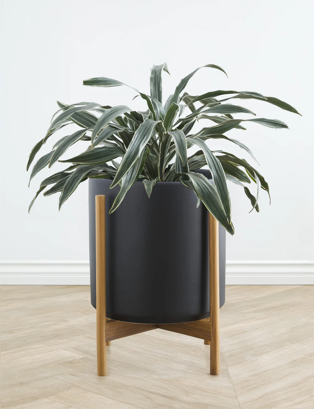 Ceramic Planter Pot + Teak Stand by LBE Design
