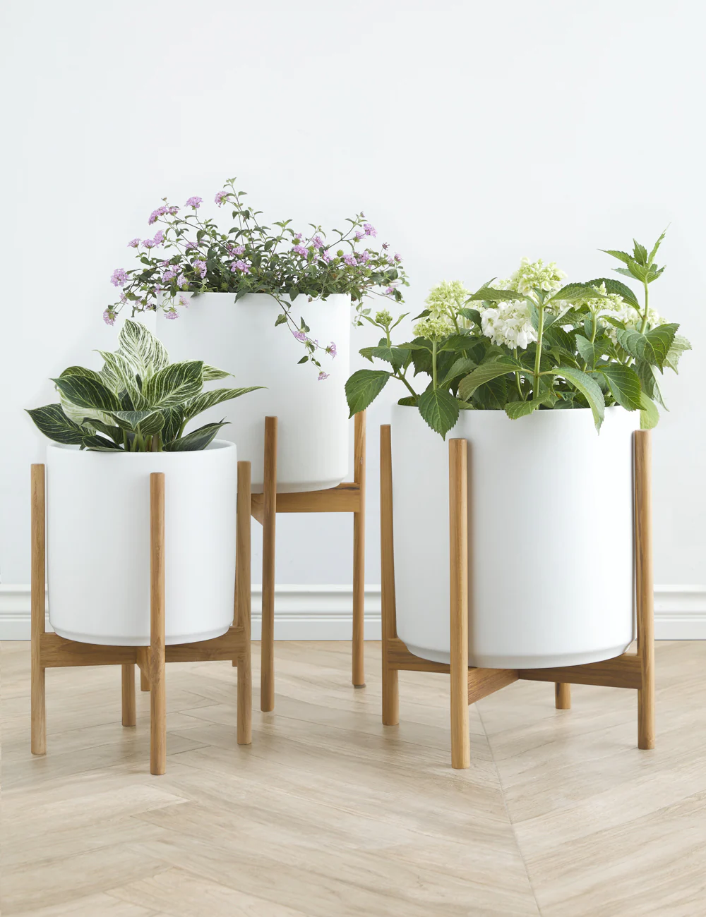 Ceramic Planter Pot + Teak Stand by LBE Design