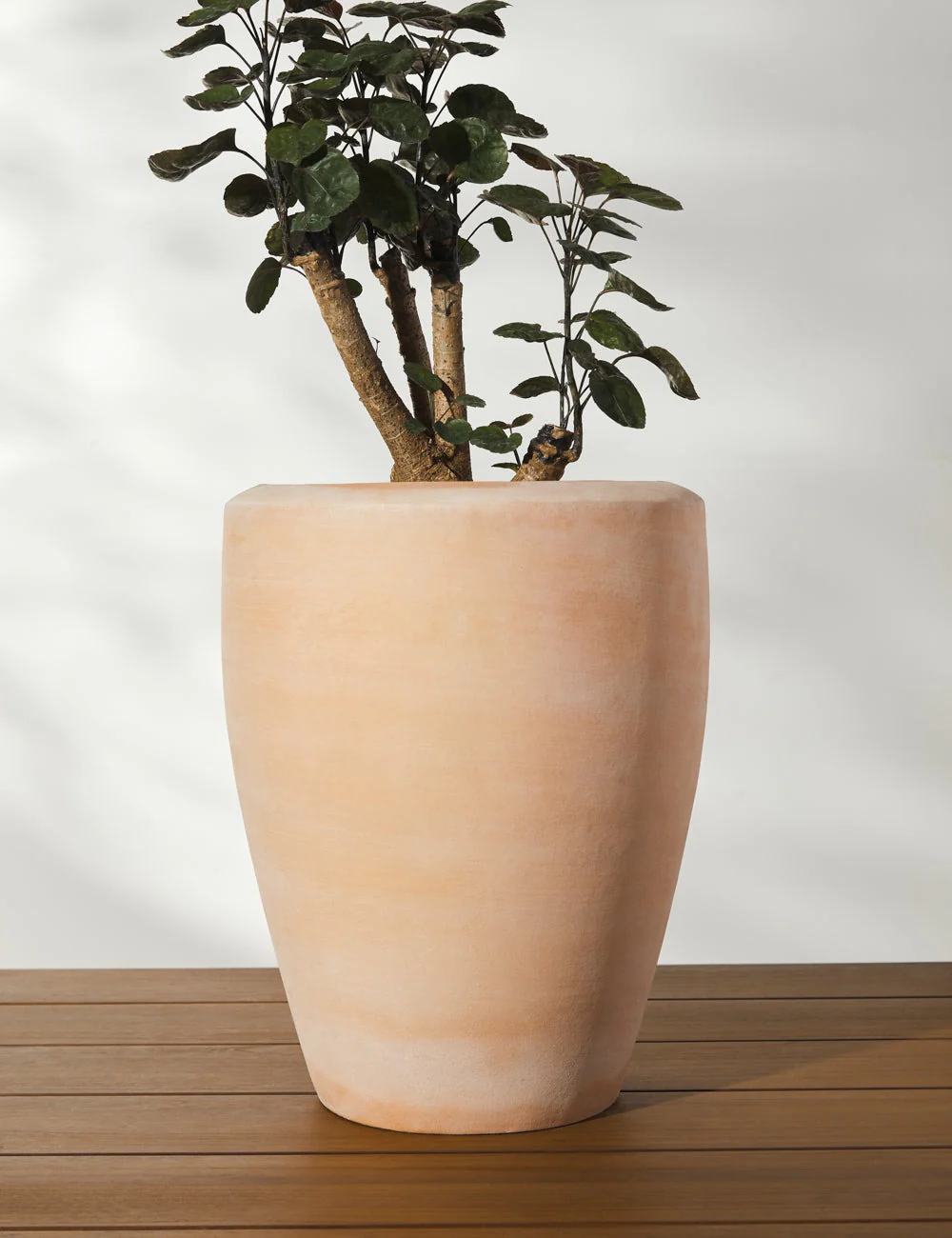 Abrielle Planter (Set of 2) by Campania International 3 Abrielle Planter (Set of 2) by Campania International