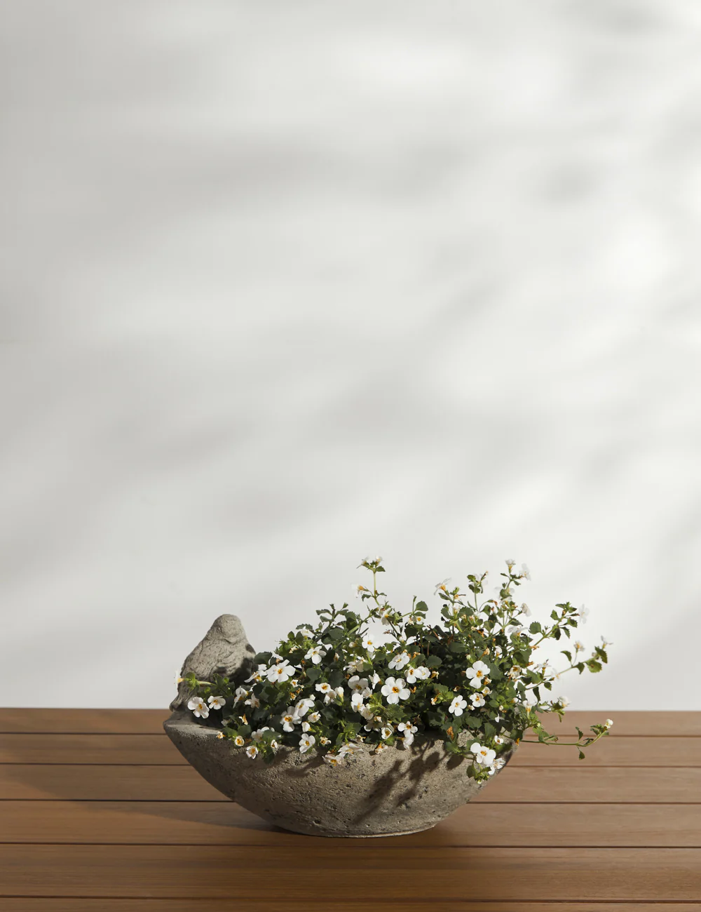 Cast Stone Tabletop Planters by Campania International