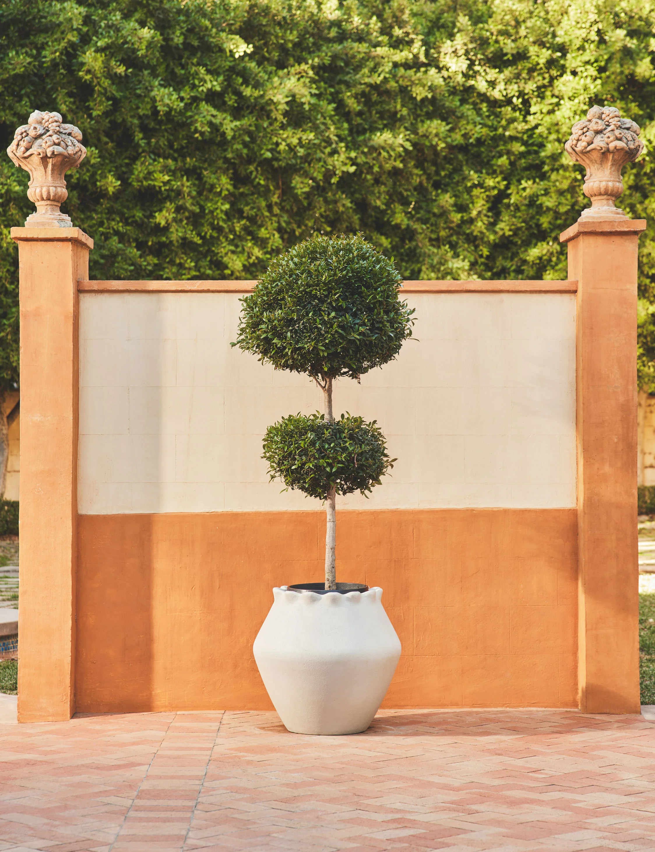 Jaziel Indoor/Outdoor Planter