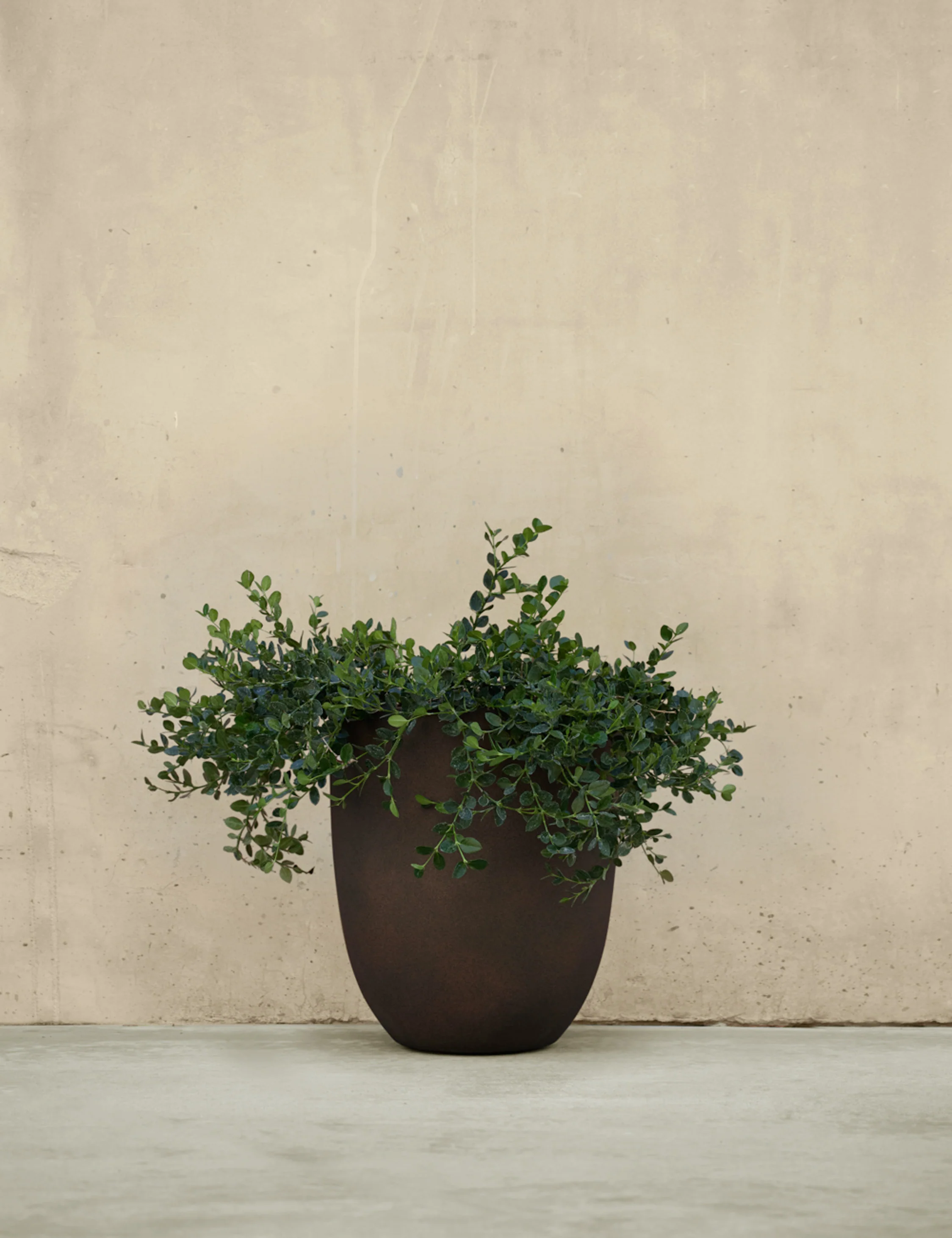 Bradford Planters by Campania International 25 Bradford Planters by Campania International