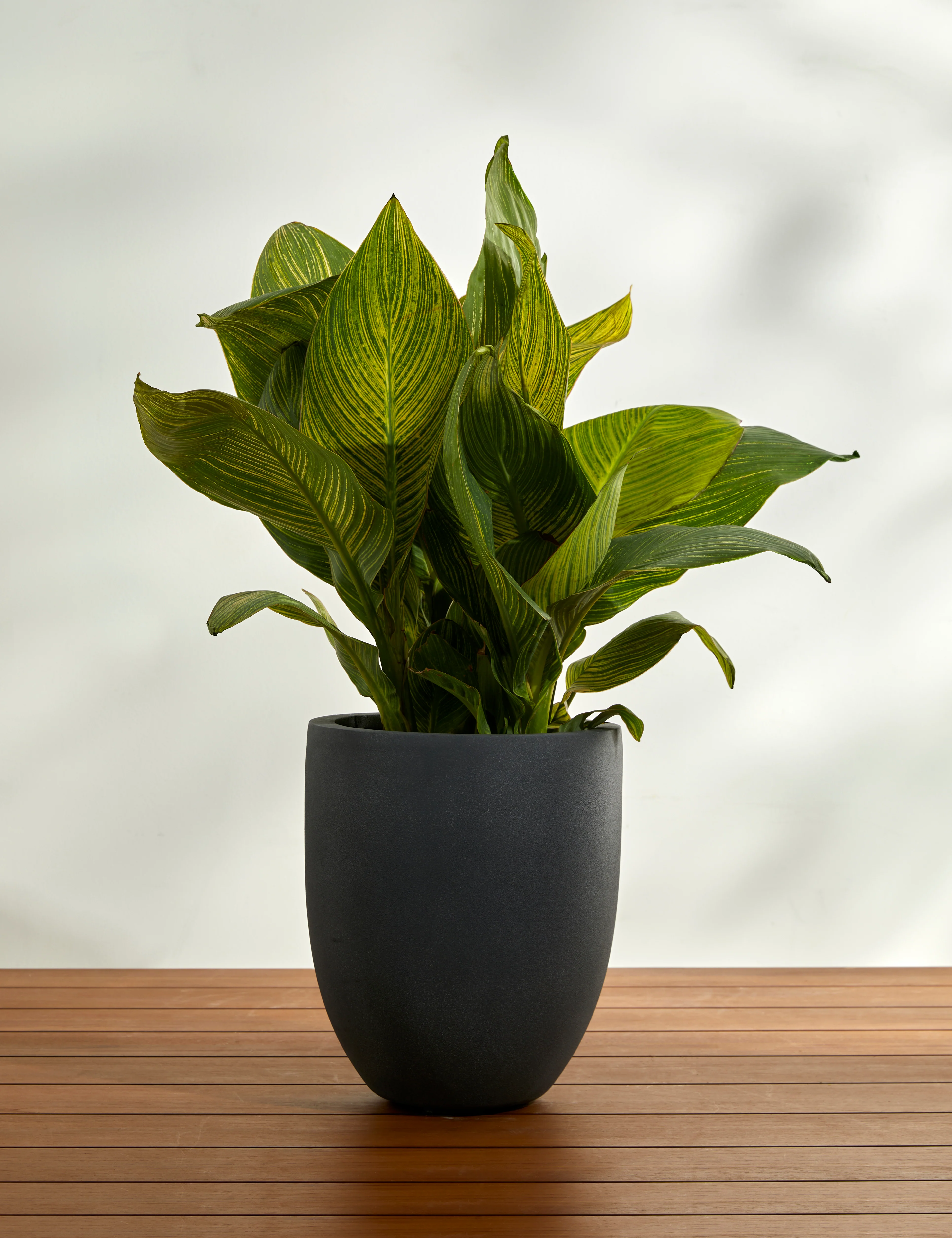 Bradford Planters by Campania International 37 Bradford Planters by Campania International