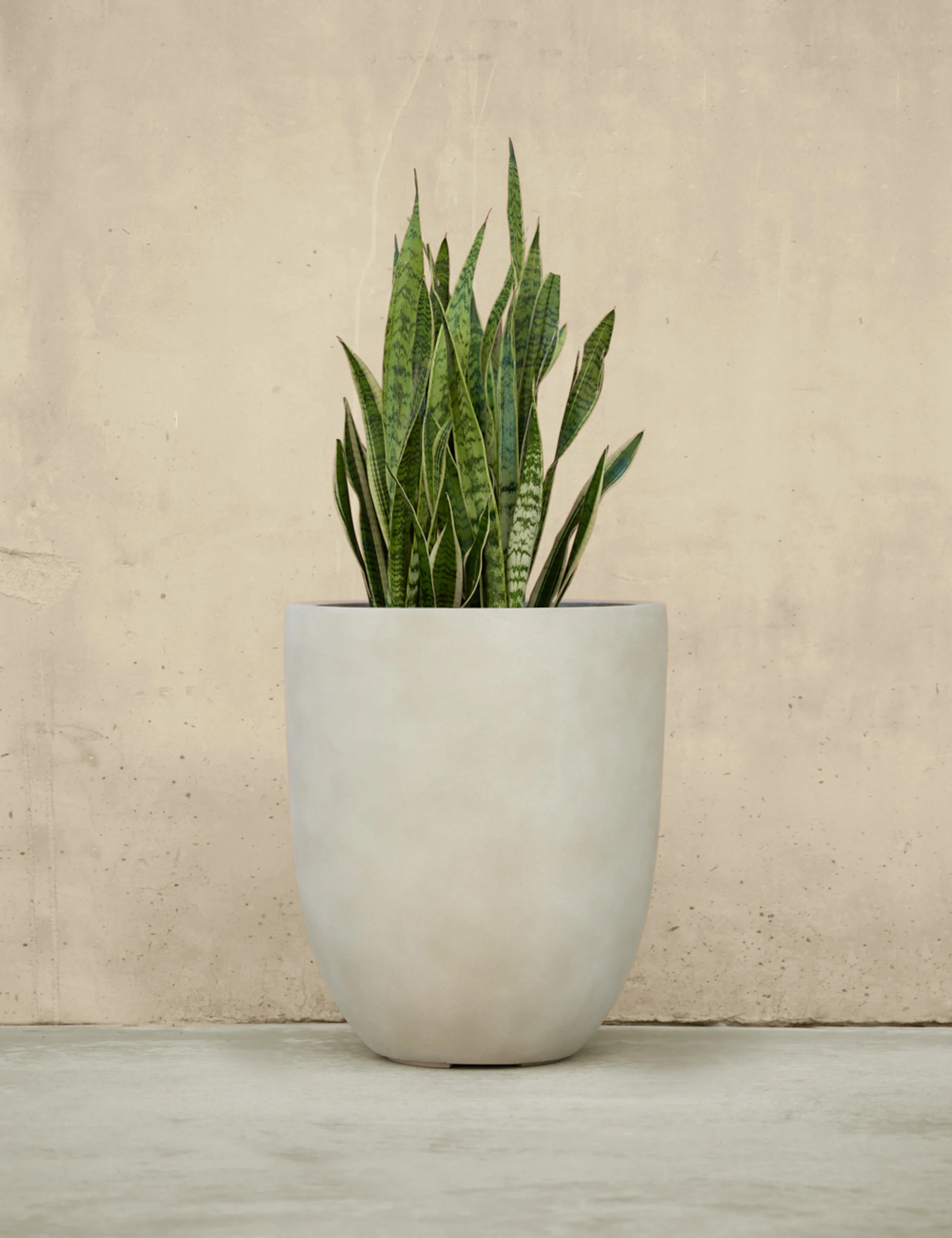Bradford Planters by Campania International 6 Bradford Planters by Campania International